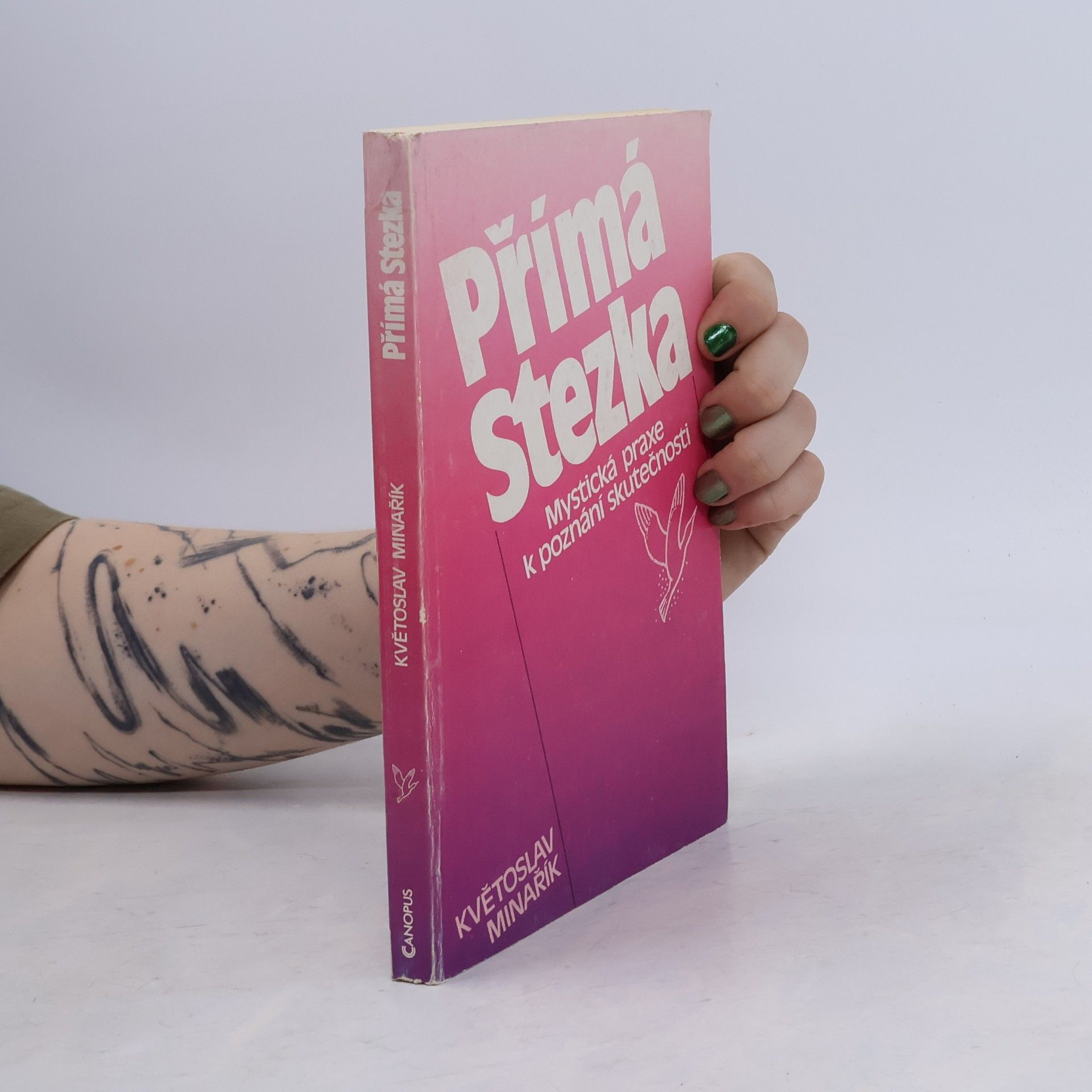Květoslav Minařík Přímá stezka