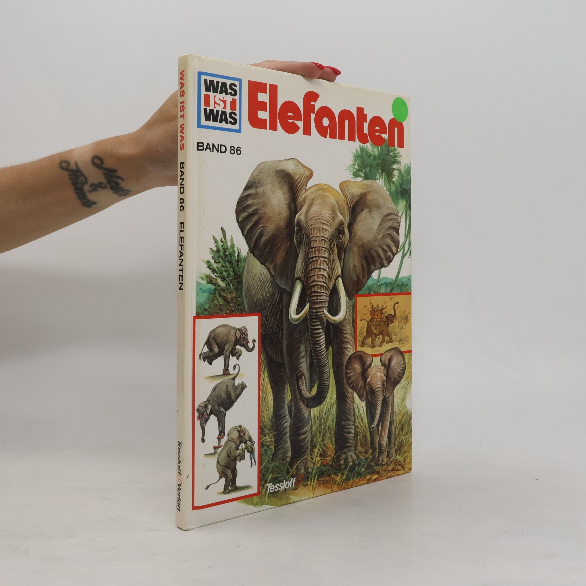 Elefanten