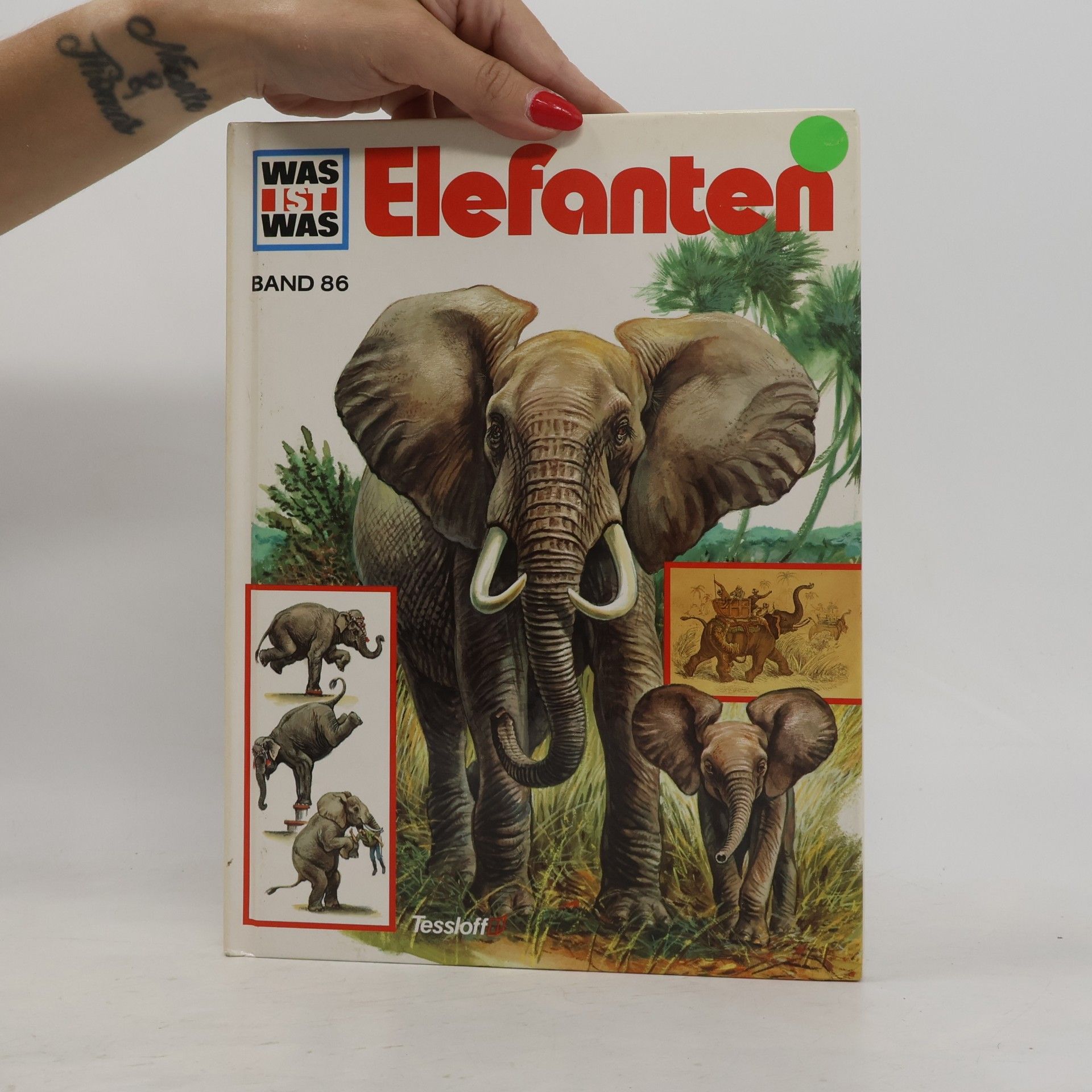 Ulrich Sedlag Elefanten