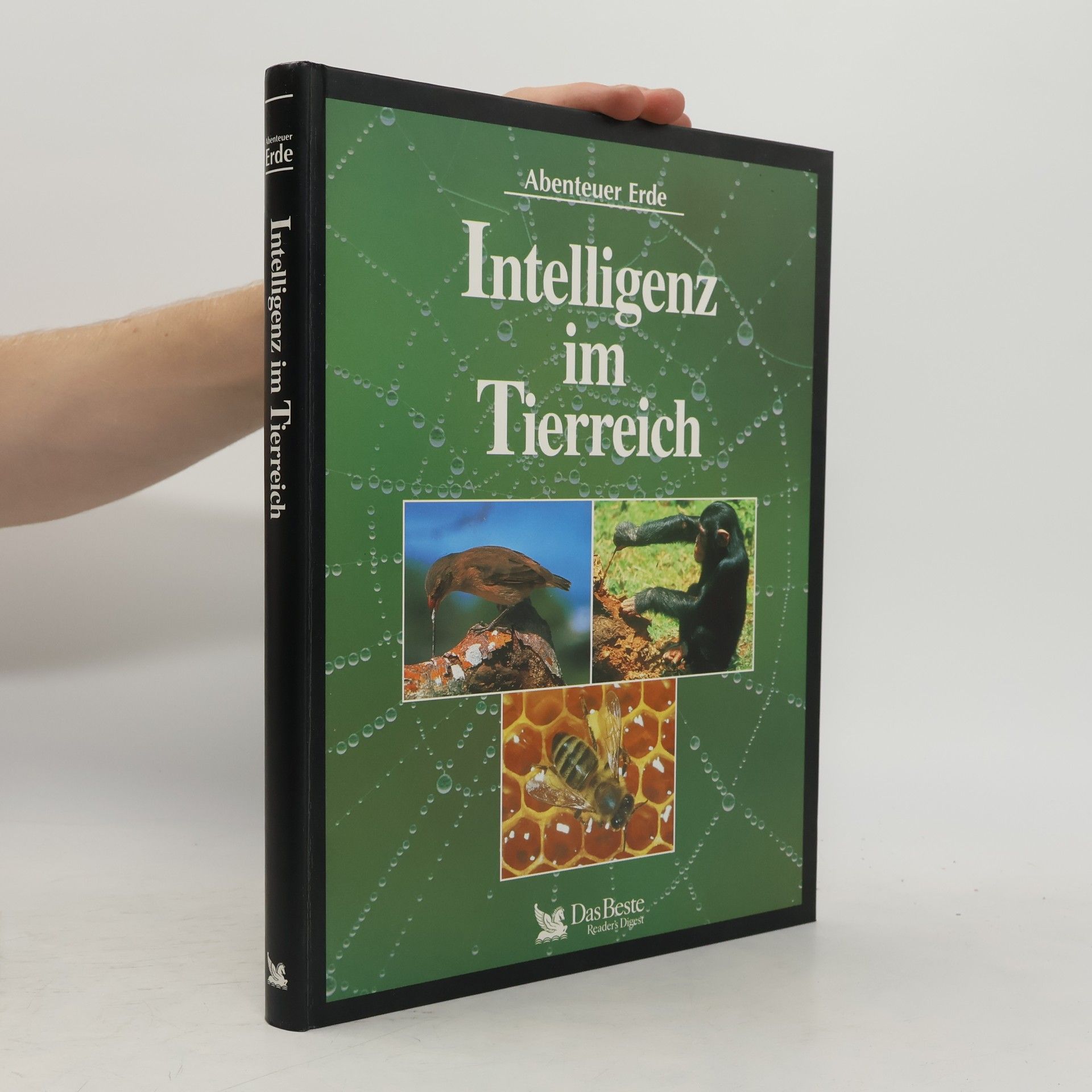Collectif d'auteurs Intelligenz im Tierreich