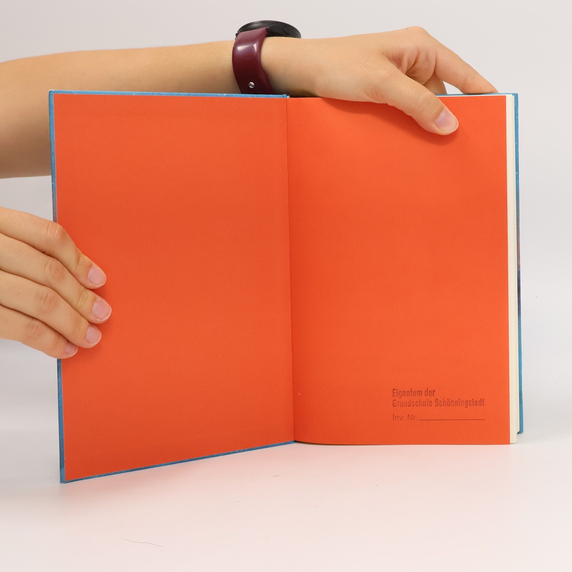 Holly Goldberg Sloan An Nachteule, von Sternhai
