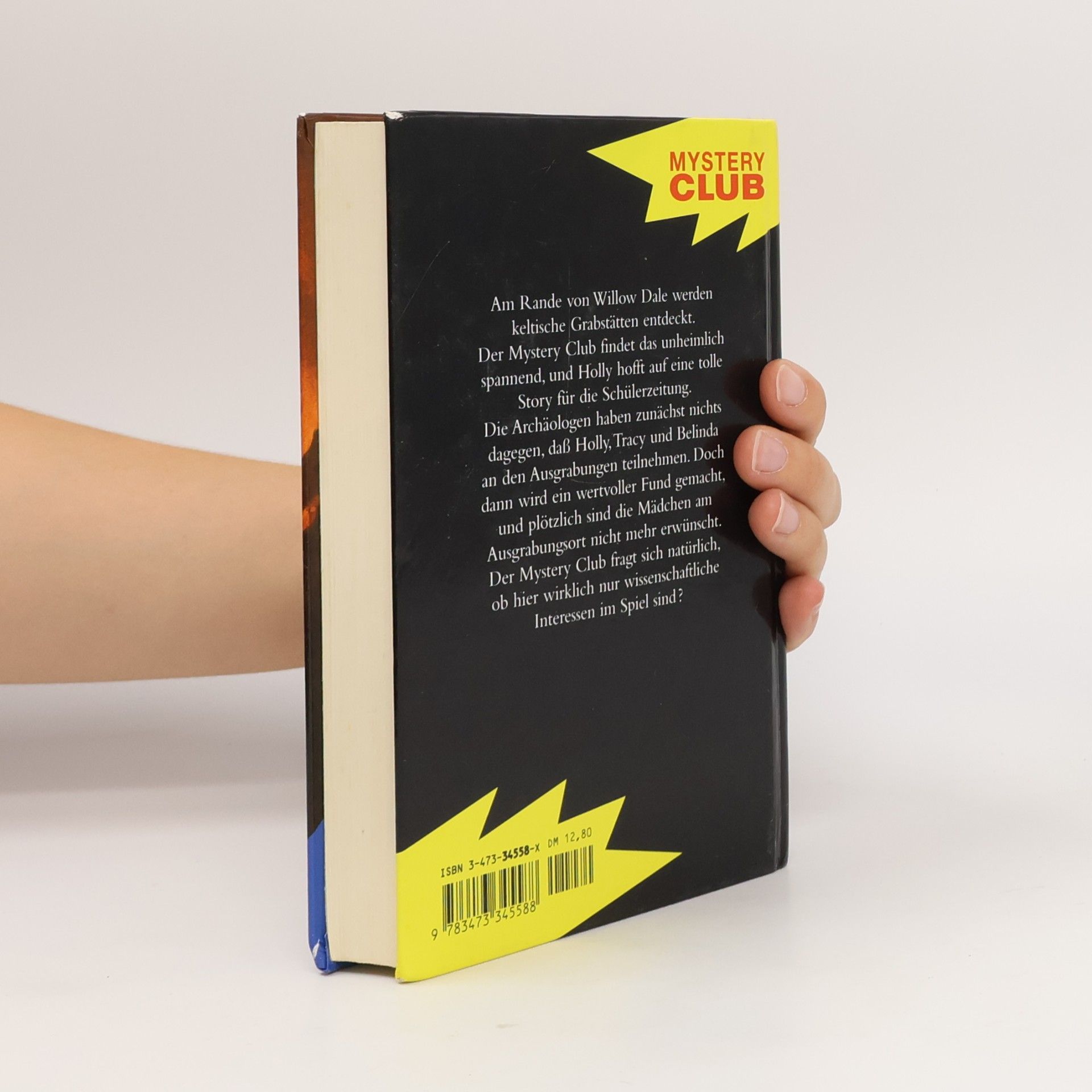 Fiona Kelly Mystery Club. Der falsche Schatzsucher
