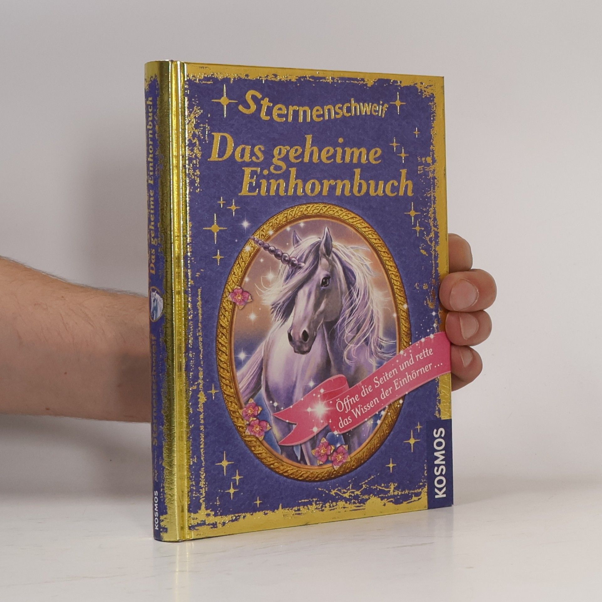 Anne Scheller Sternenschweif - das geheime Einhornbuch