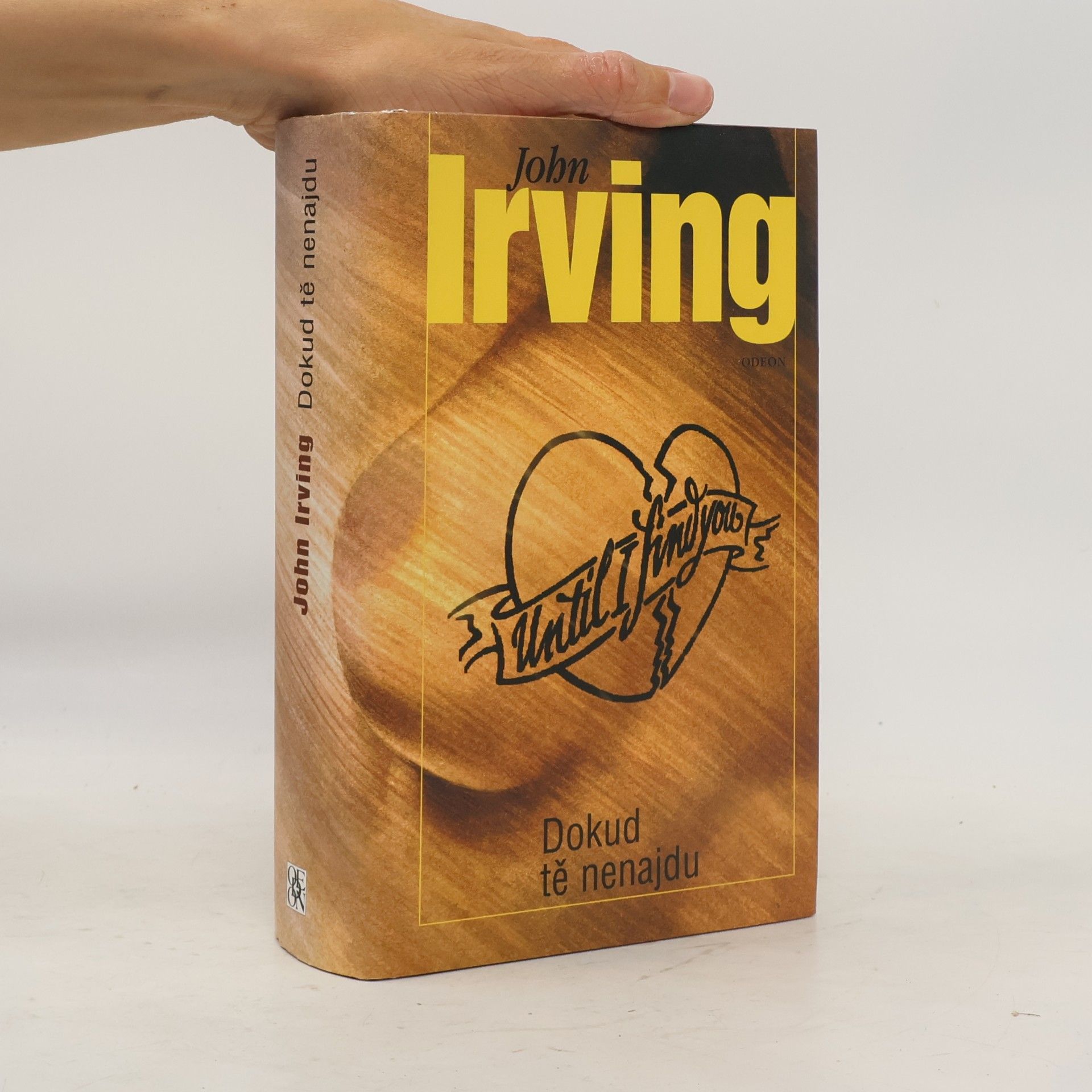 John Irving Dokud tě nenajdu