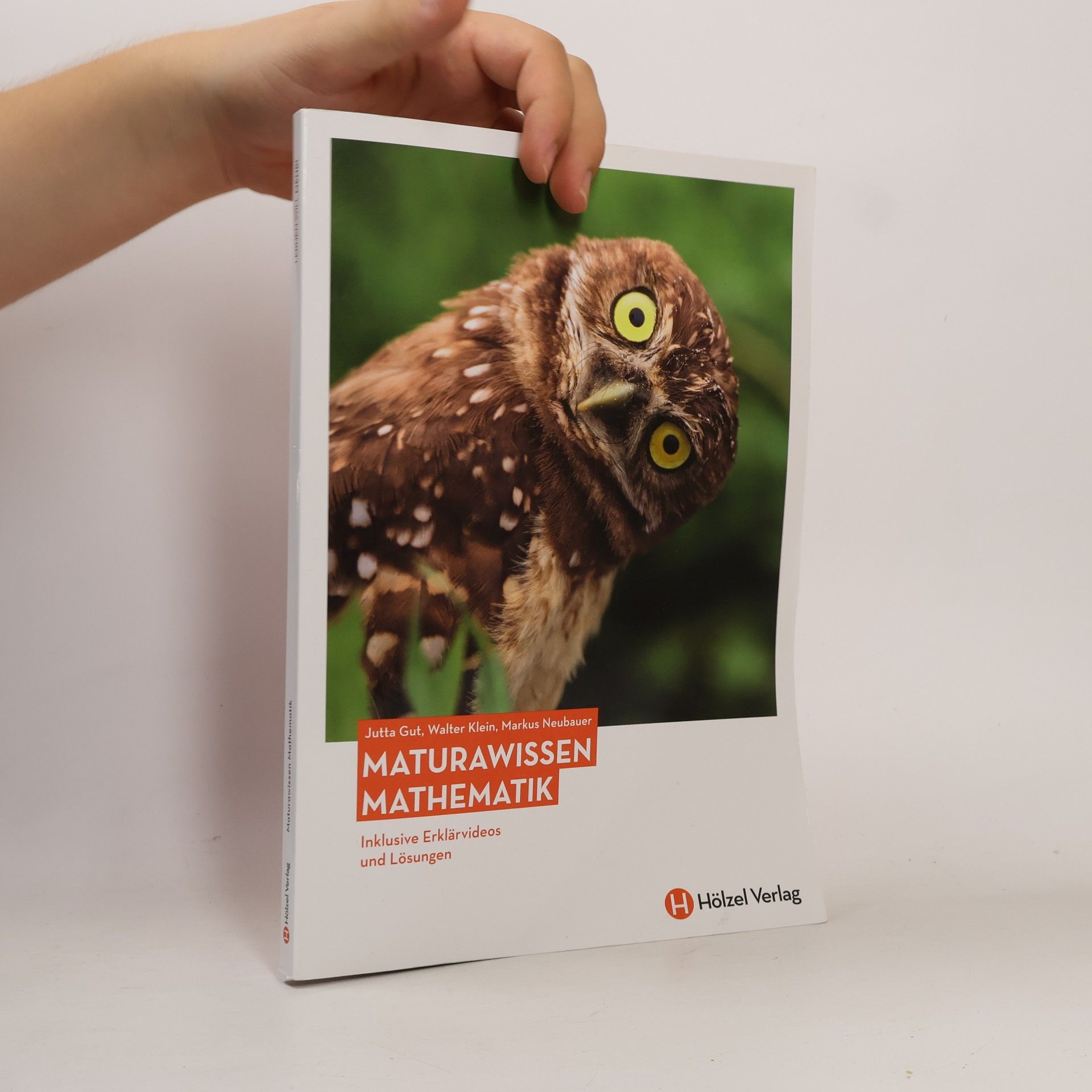 Markus Neubauer Maturawissen Mathematik
