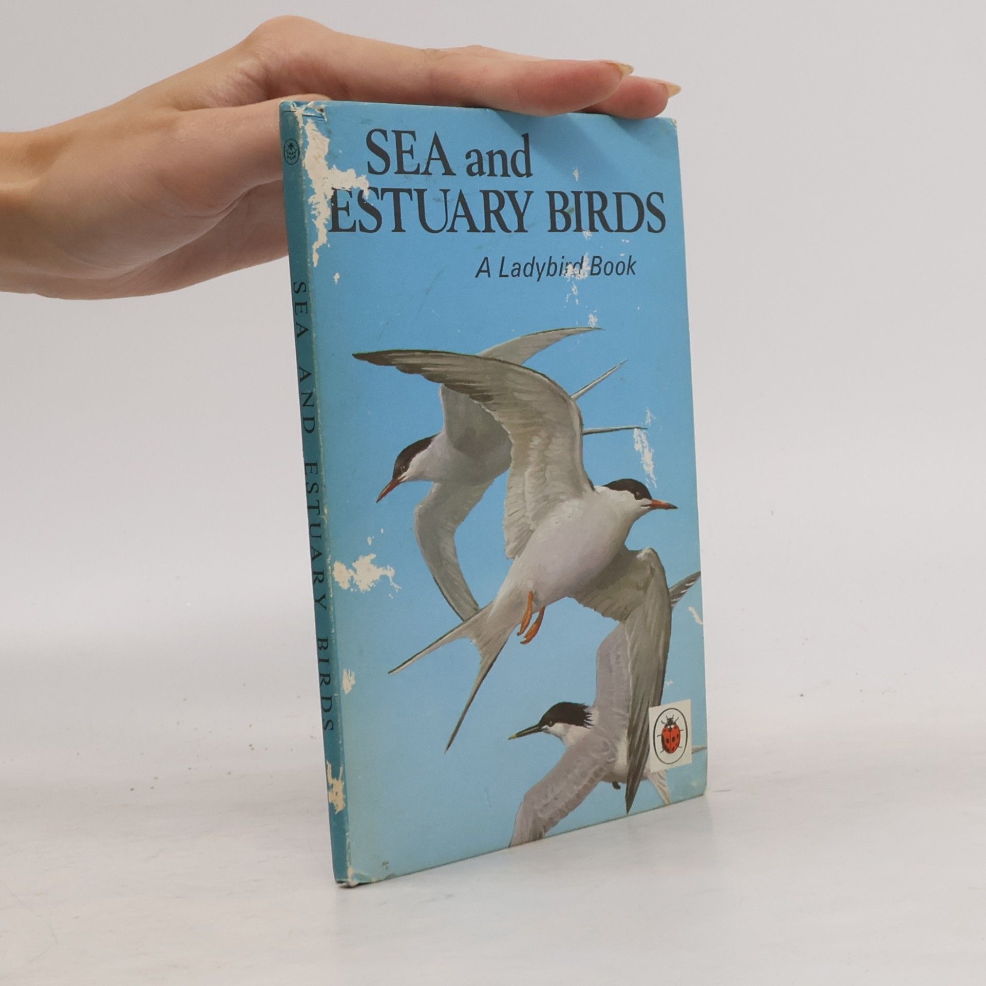 John Leigh Pemberton  Sea and Estuary Birds