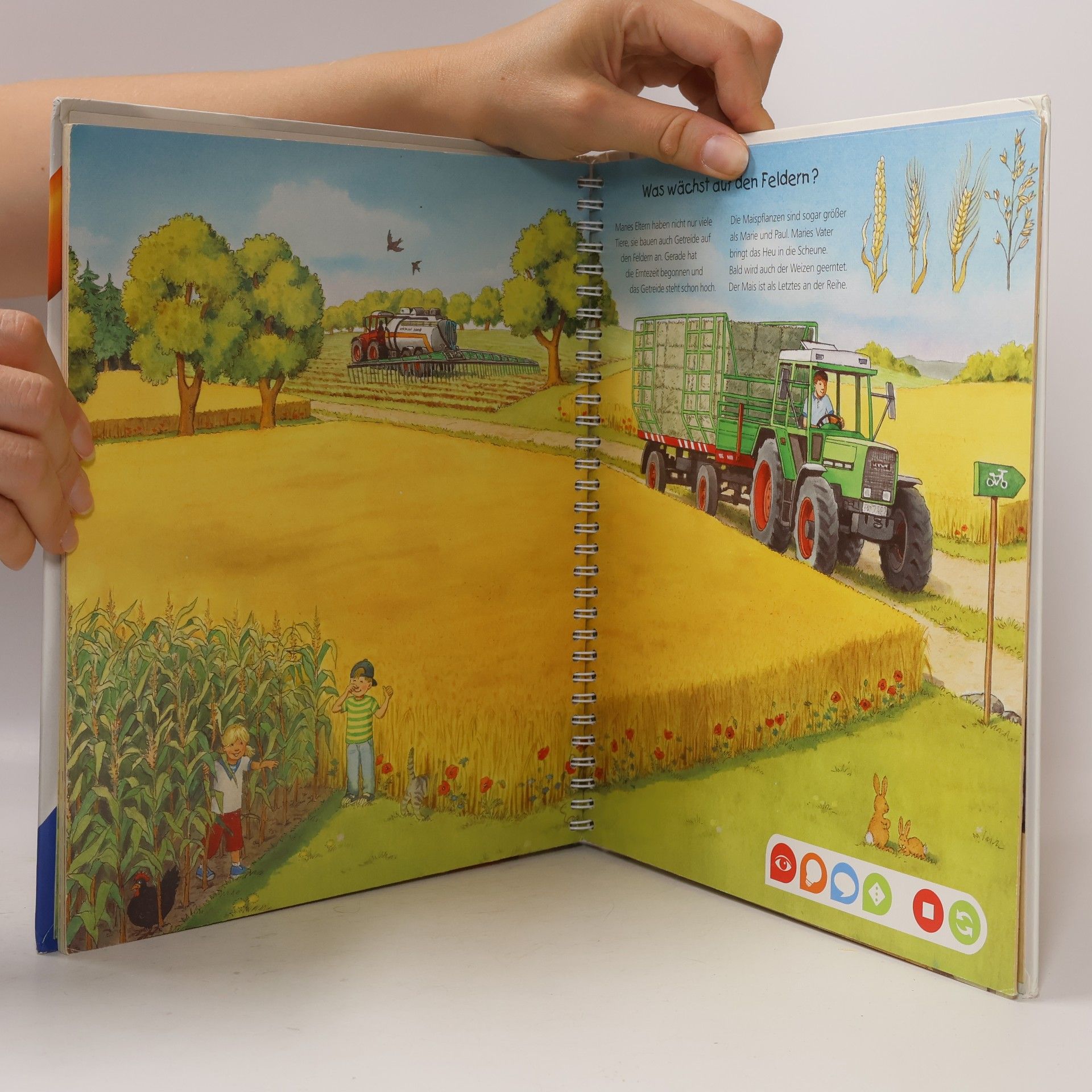 Inka Friese Entdecke den Bauernhof