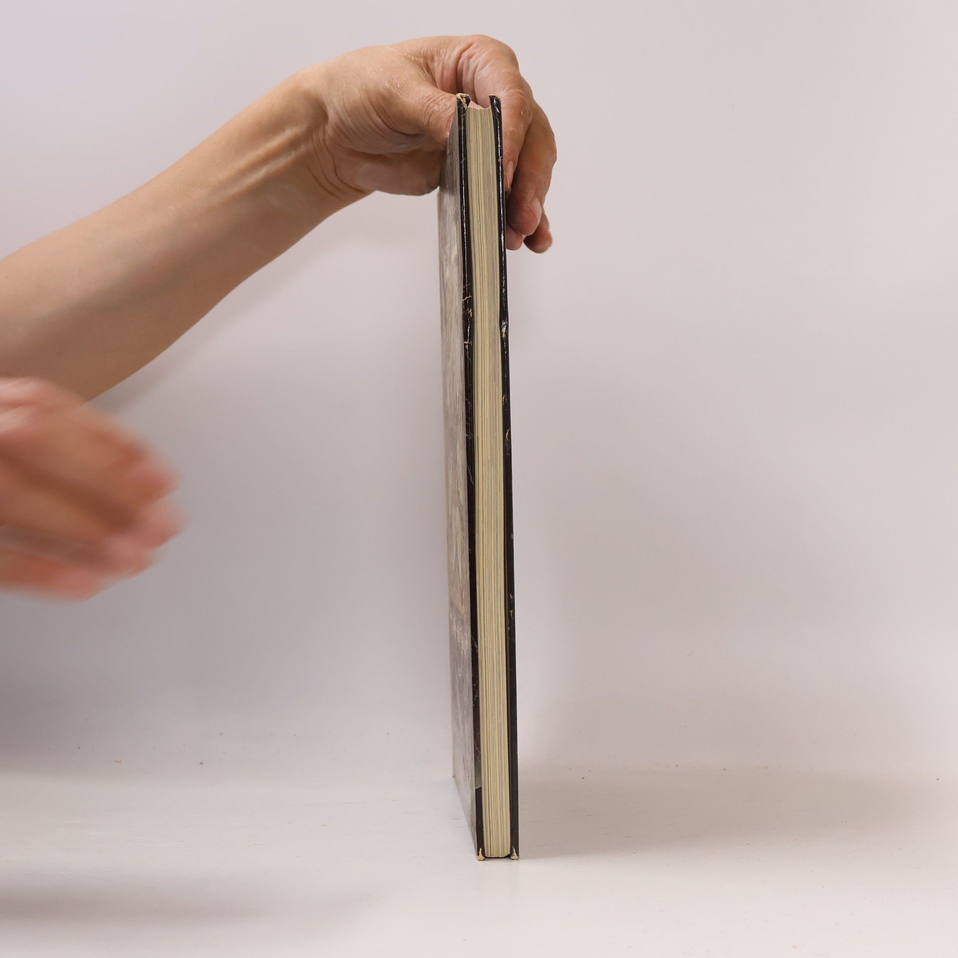 Various authors Die klassische französische Küche. Rezepte