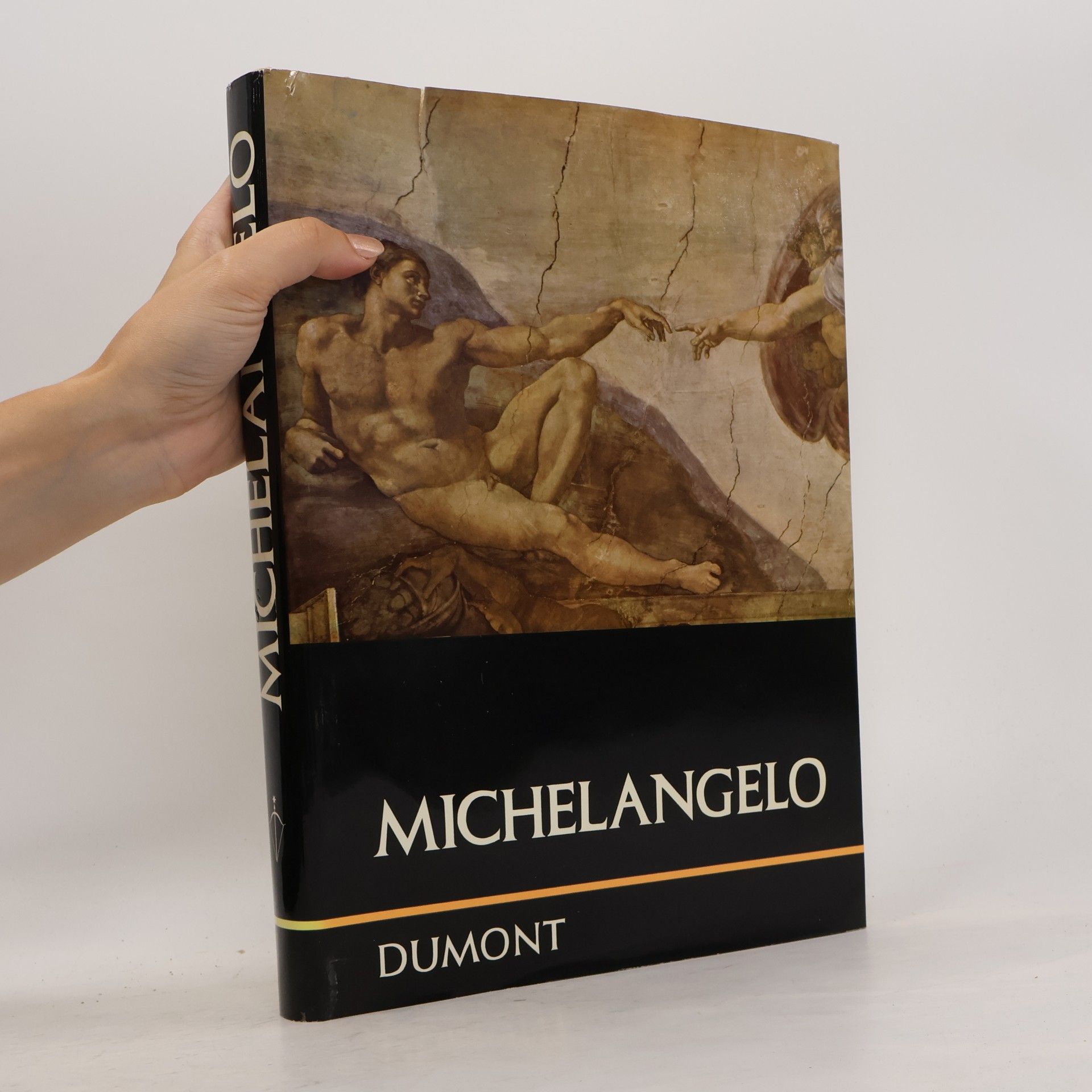 Frederick Hartt Michelangelo
