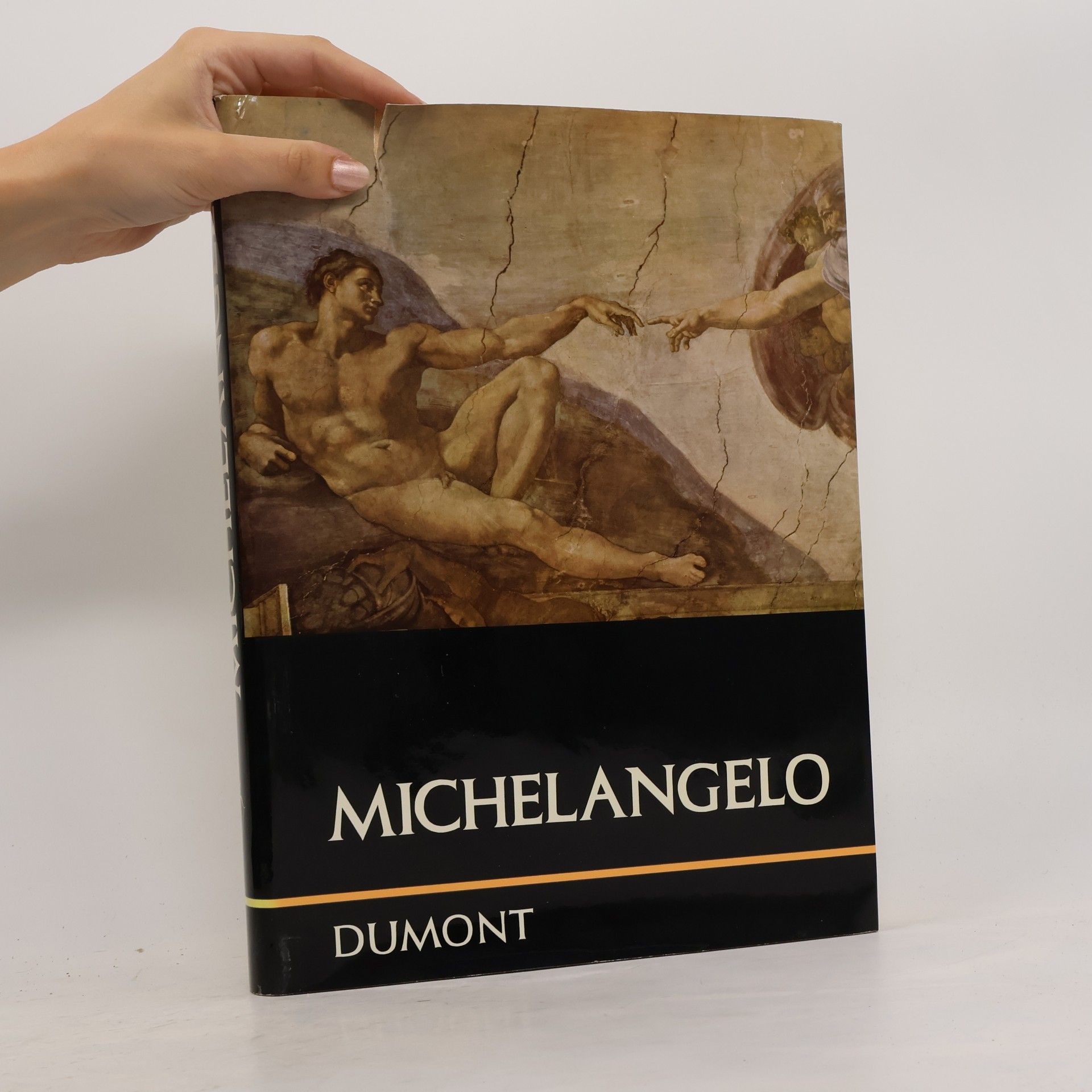 Frederick Hartt Michelangelo