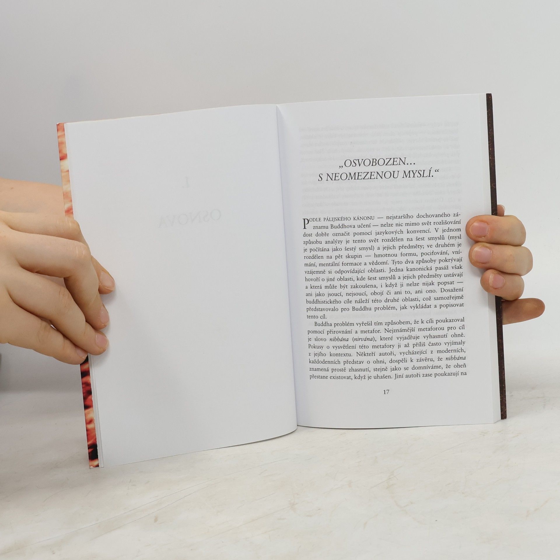Thánissaró Bhikkhu Mysl odpoutaná jako oheň: Symbolika raných buddhistických textů