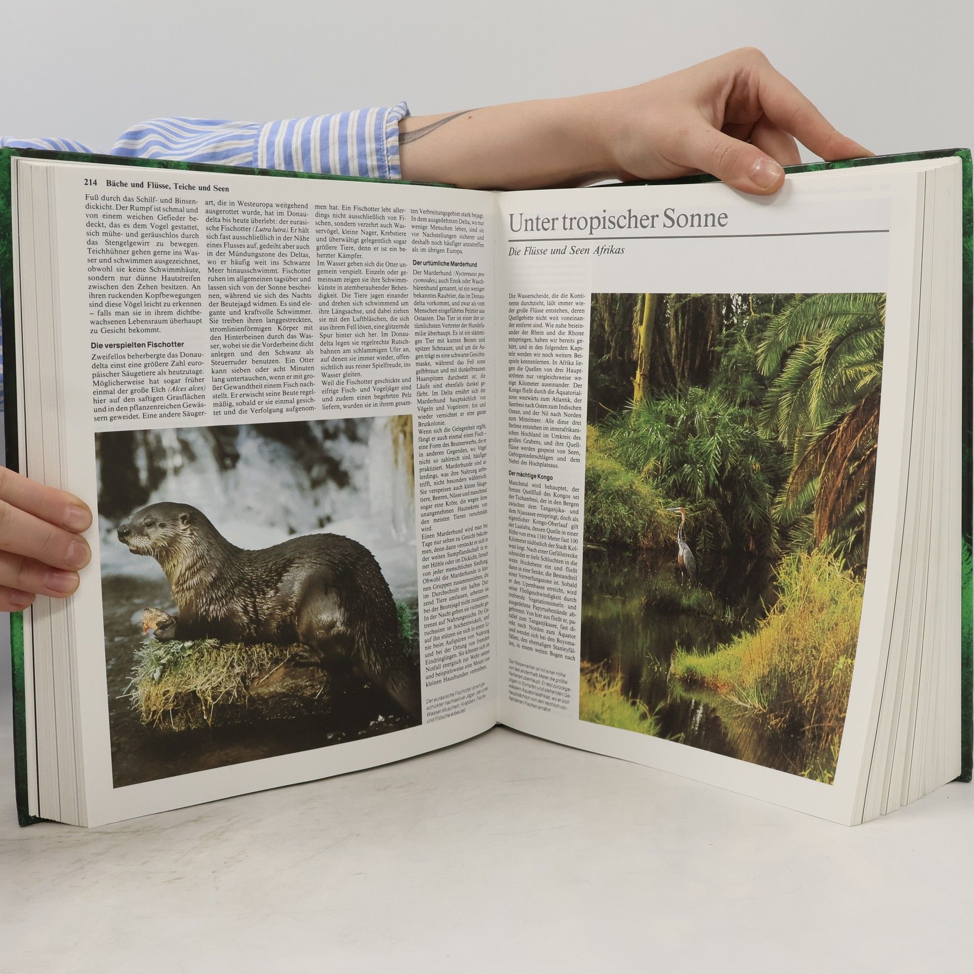 Siegfried Schmitz Das große Buch der Tierwelt. Der farbige Naturführer durch alle Kontinente