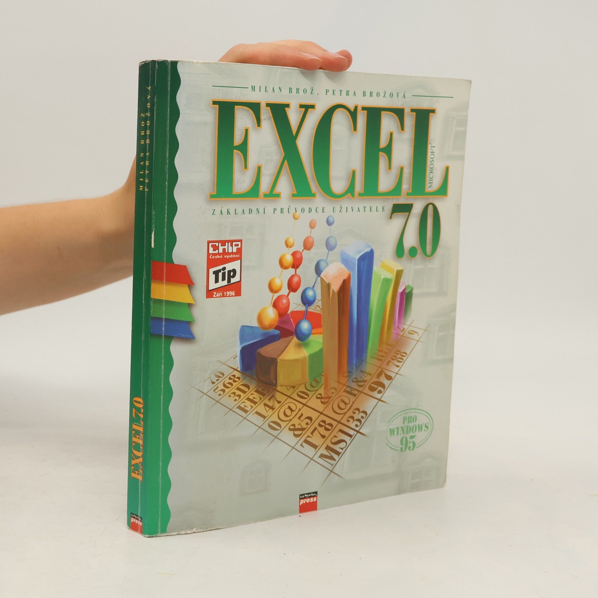 Petra Brožová Excel 7.0 : Základní průvodce uživatele