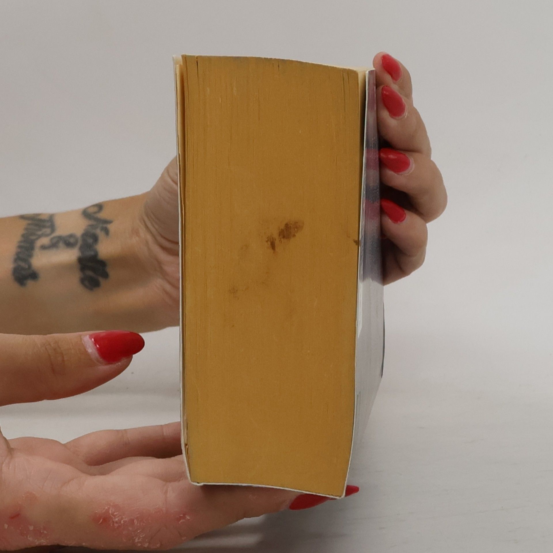 Péter Nádas Buch der Erinnerung