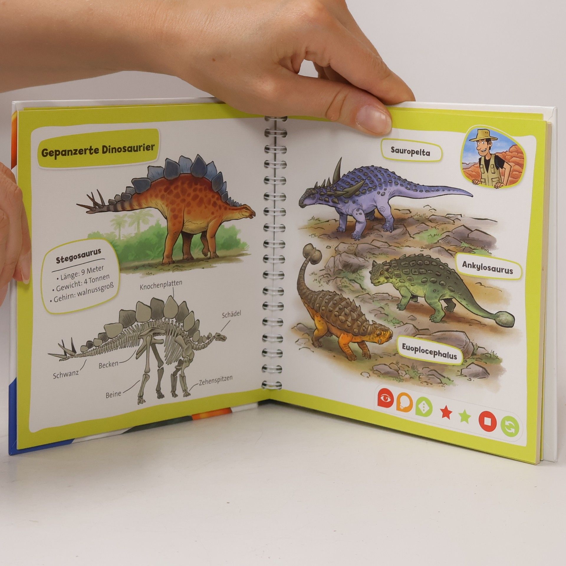 Kolektiv autorů Pocket Wissen. Dinosaurier