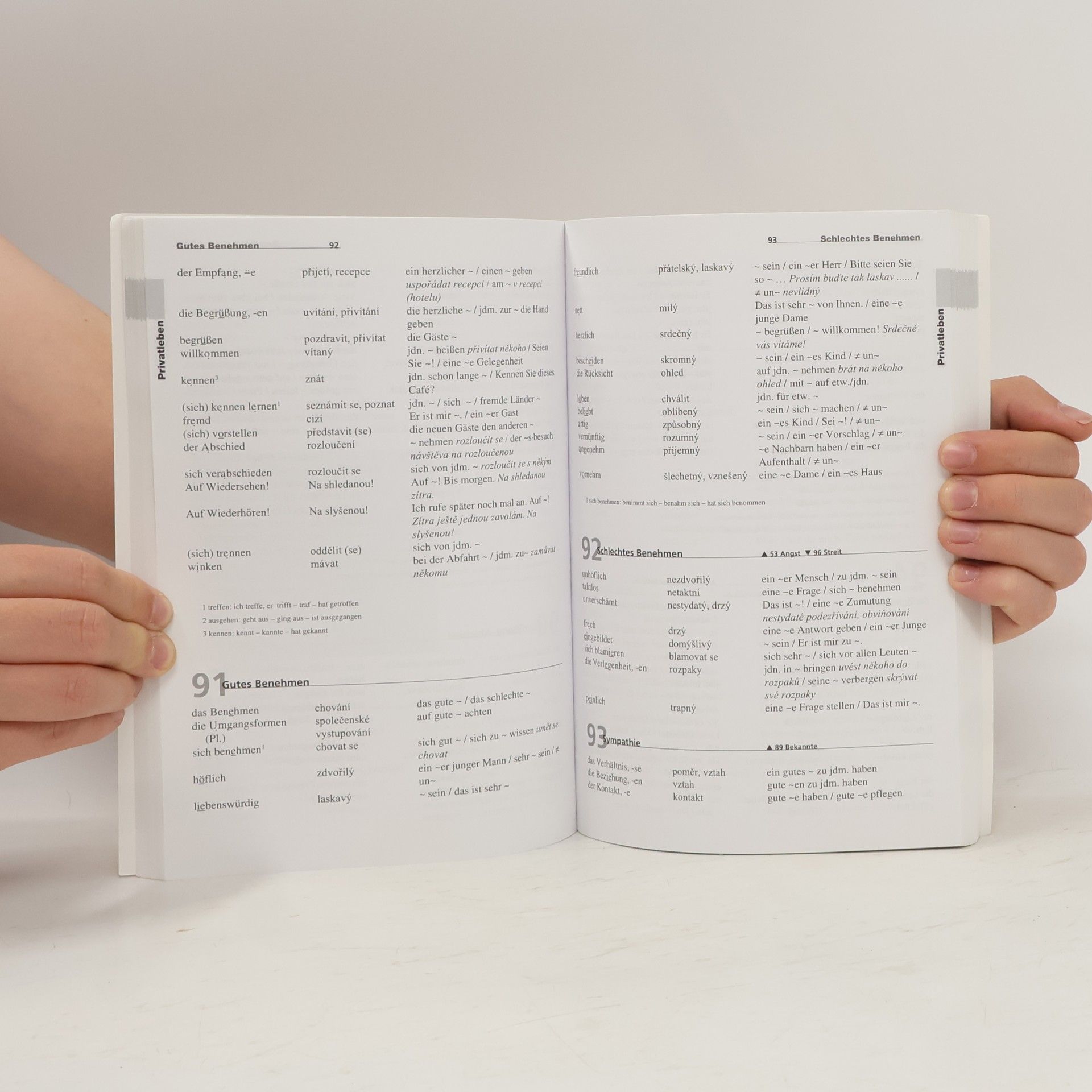Diethard Lübke Tematický slovník moderní němčiny. Wortschatz Deutsch.