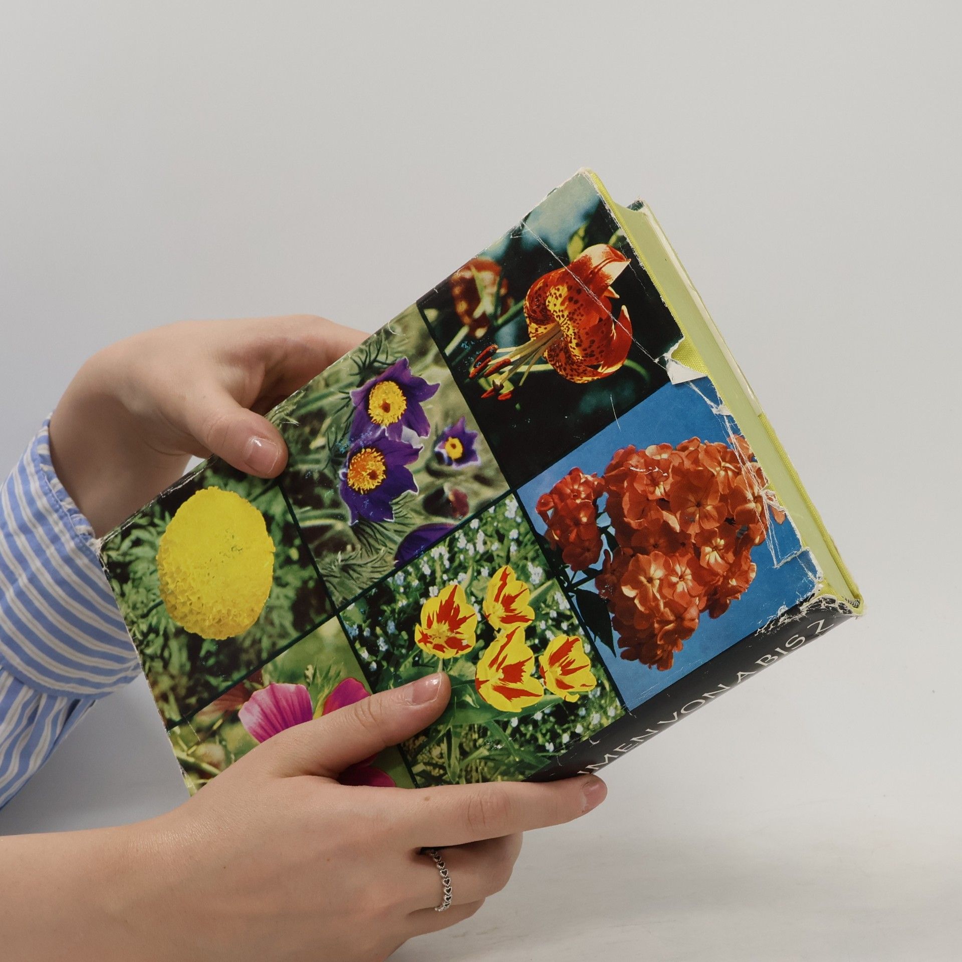 Christian Grunert Garten Blumen von A bis Z