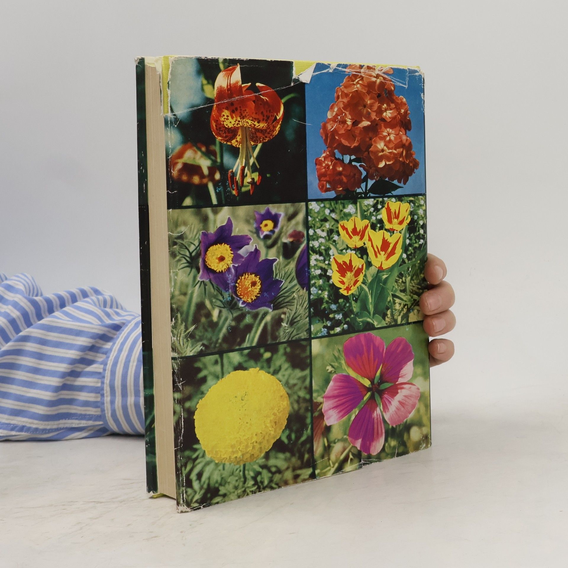 Christian Grunert Garten Blumen von A bis Z