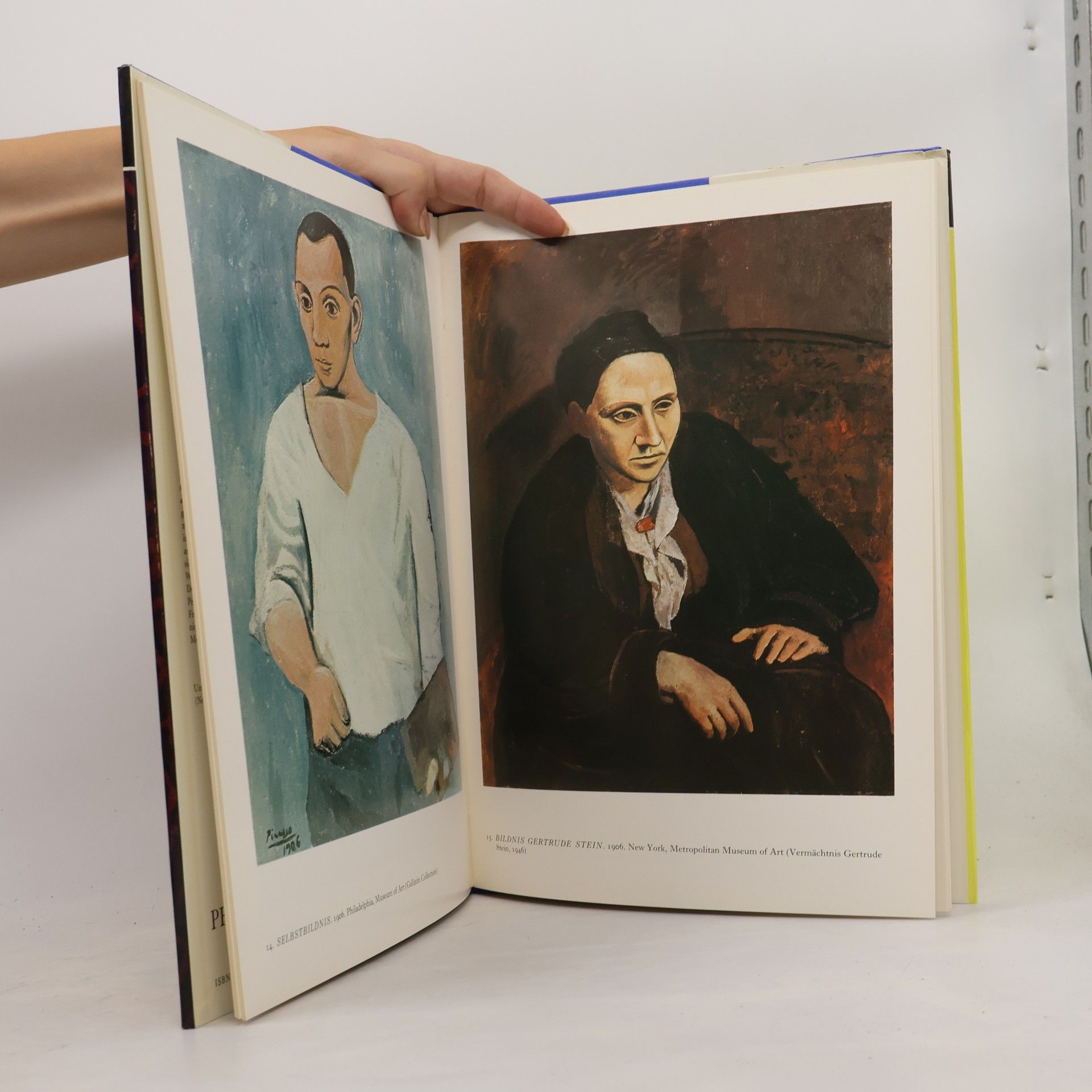 Pablo Picasso Picasso