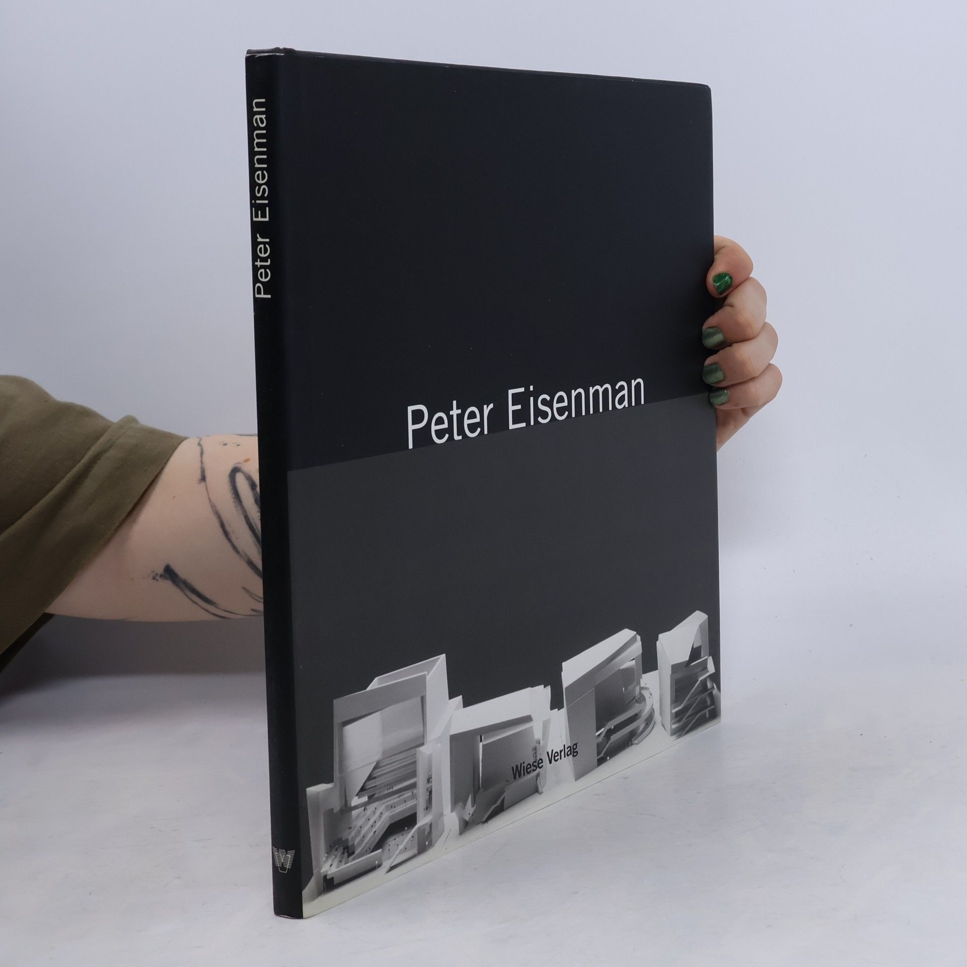 Renato Rizzi Peter Eisenman - mystisches Nichts