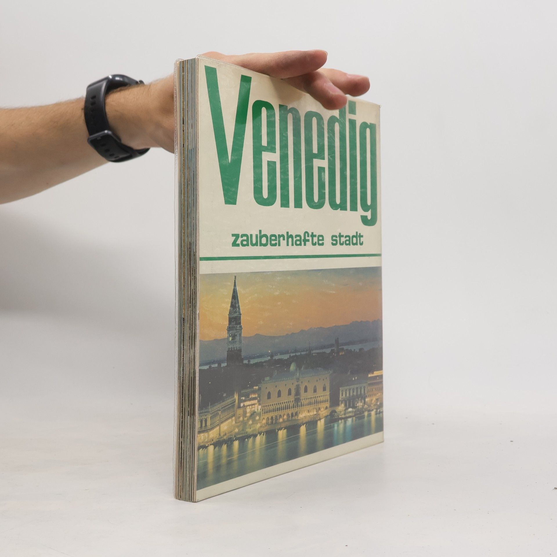 Various authors Venedig. Die ganze Stadt in Farben