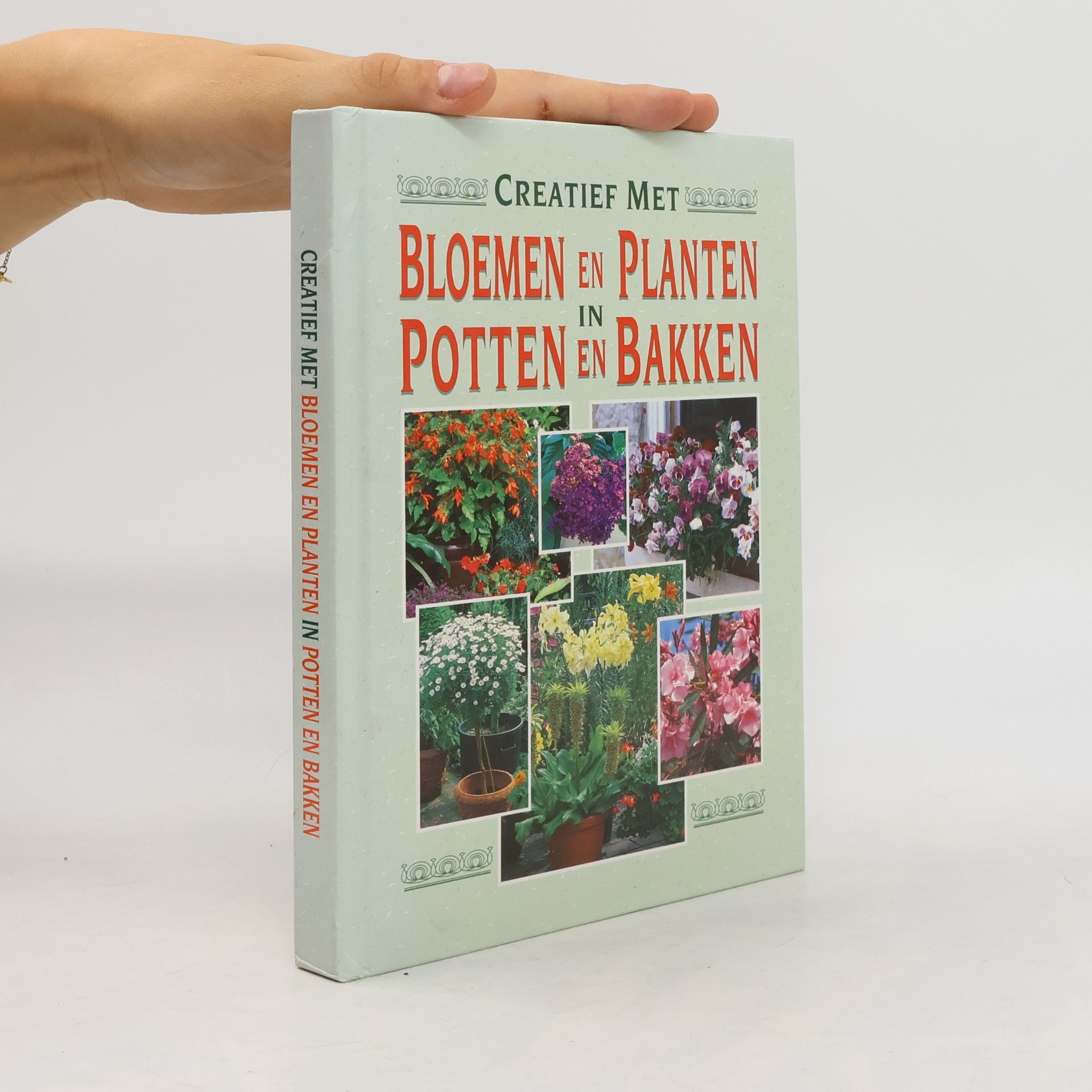 Bloemen en planten in potten en bakken