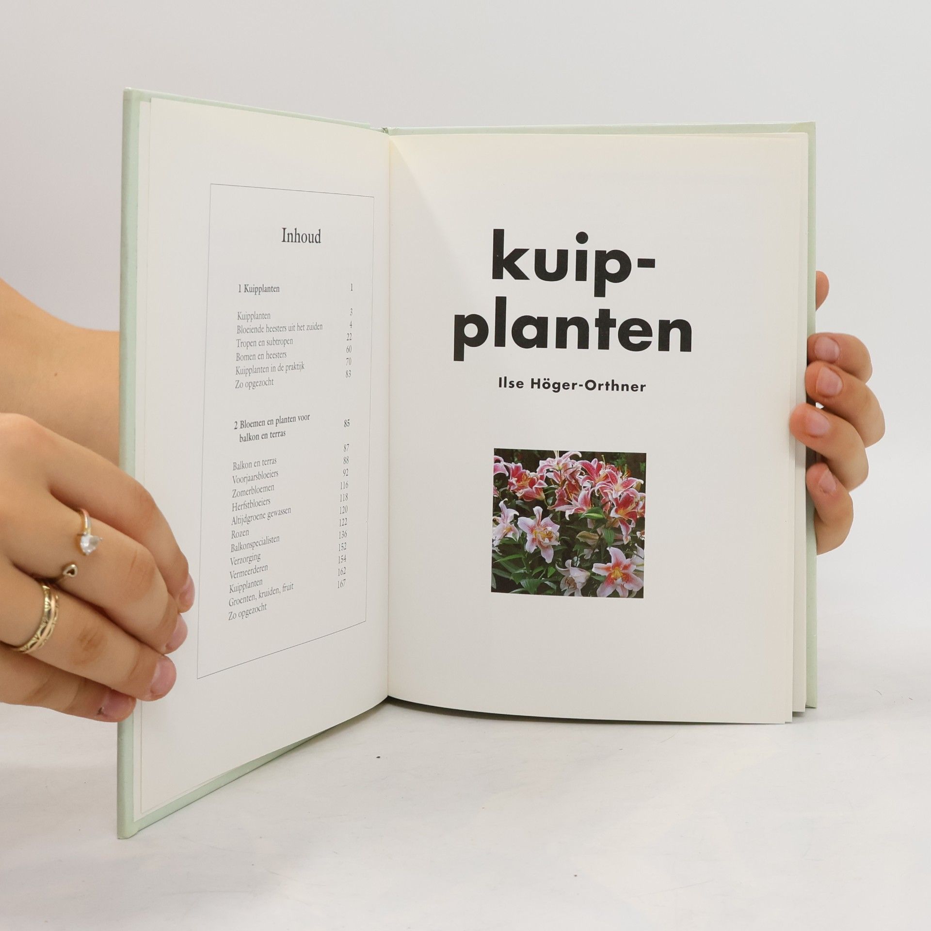 Ilse Höger-Orthner Bloemen en planten in potten en bakken