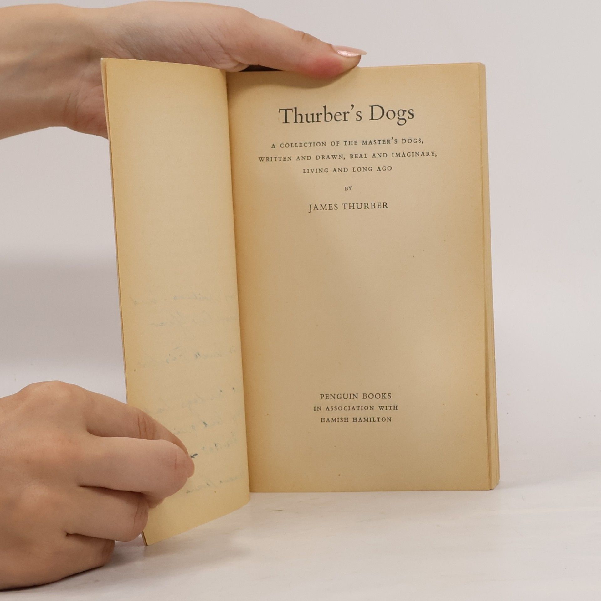 James Thurber Thurber's Dogs