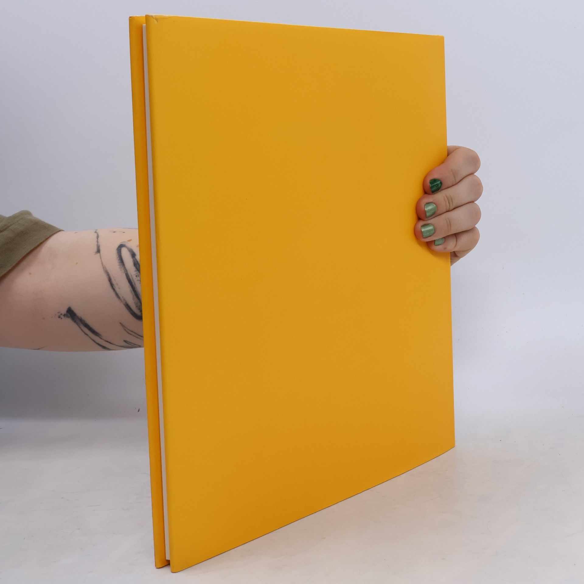 Giorgio Grassi Giorgio Grassi. Altstadtprojekte