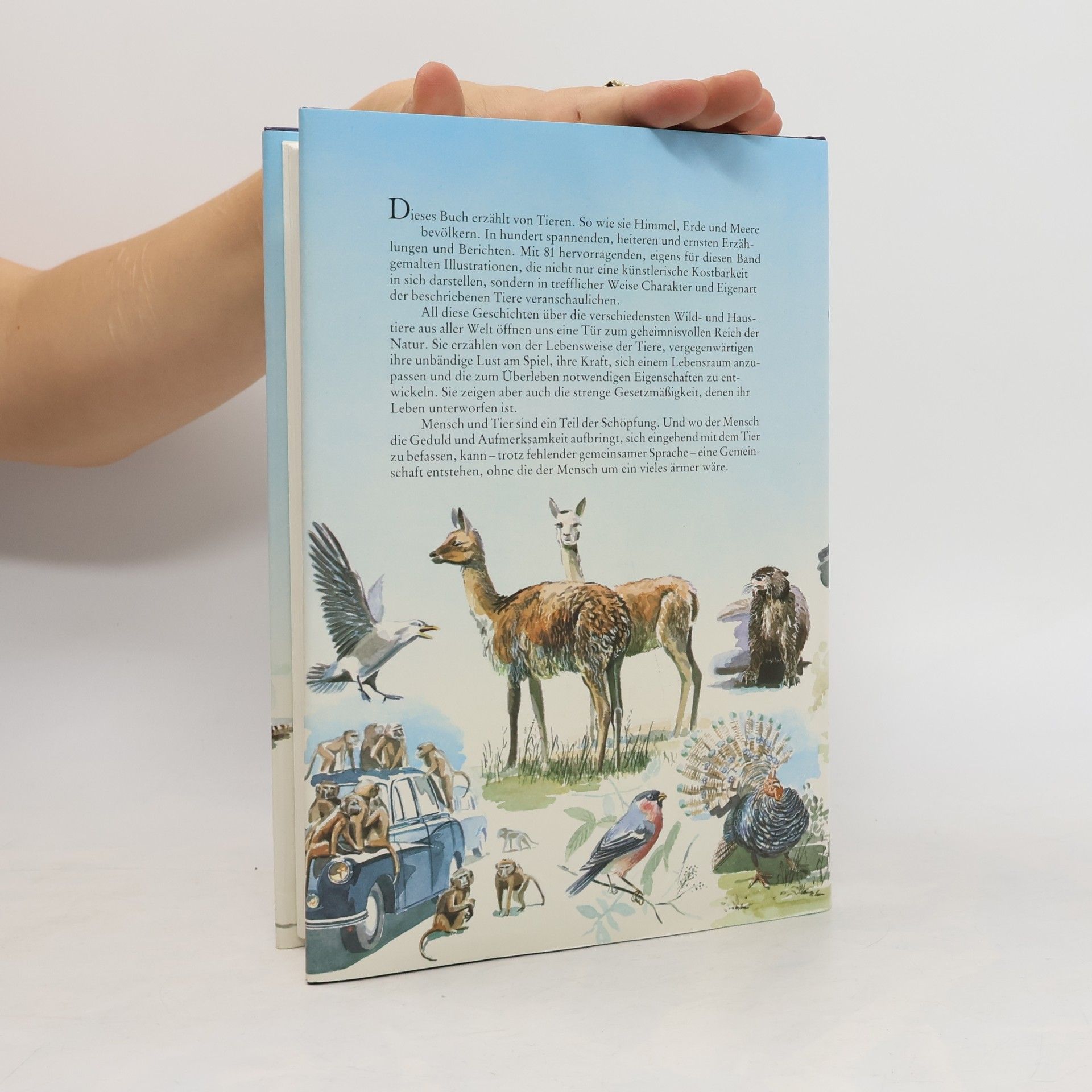 Autorenkollektiv Aus dem Leben der Tiere