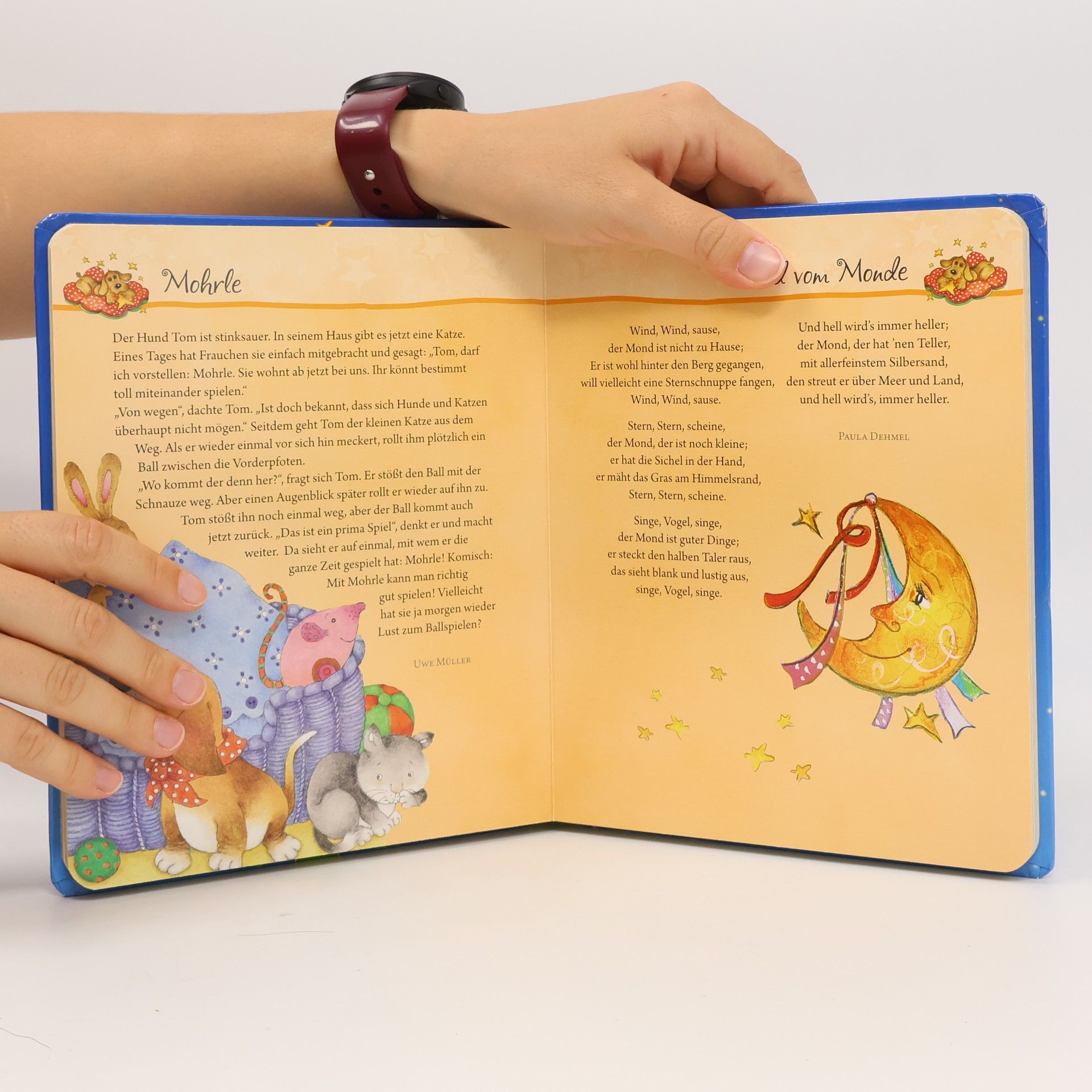 Ingrid Annel Mein allerliebstes Träum-süß-Buch