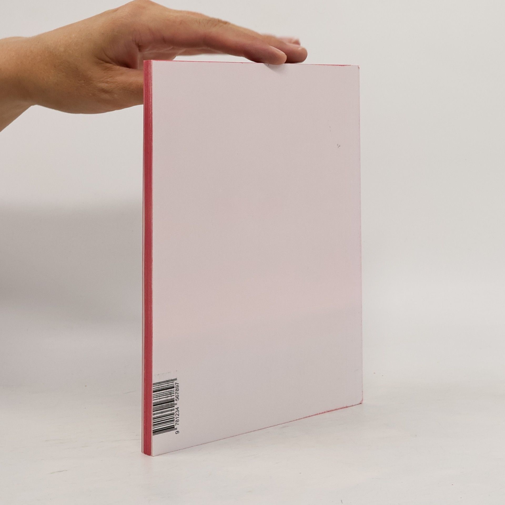 Kolektiv autorů Super Tramp Book