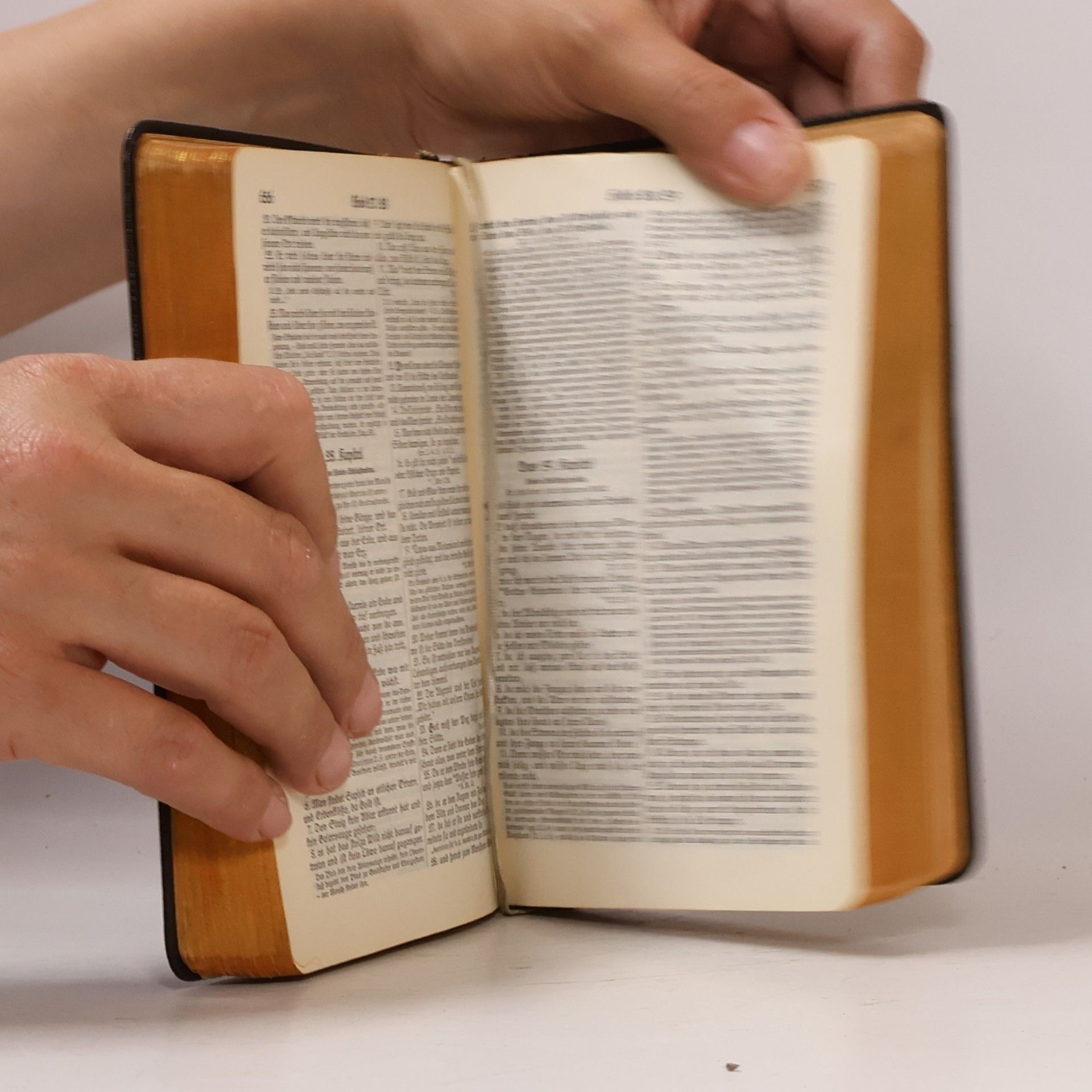 Autorenkollektiv Jubiläumsbibel