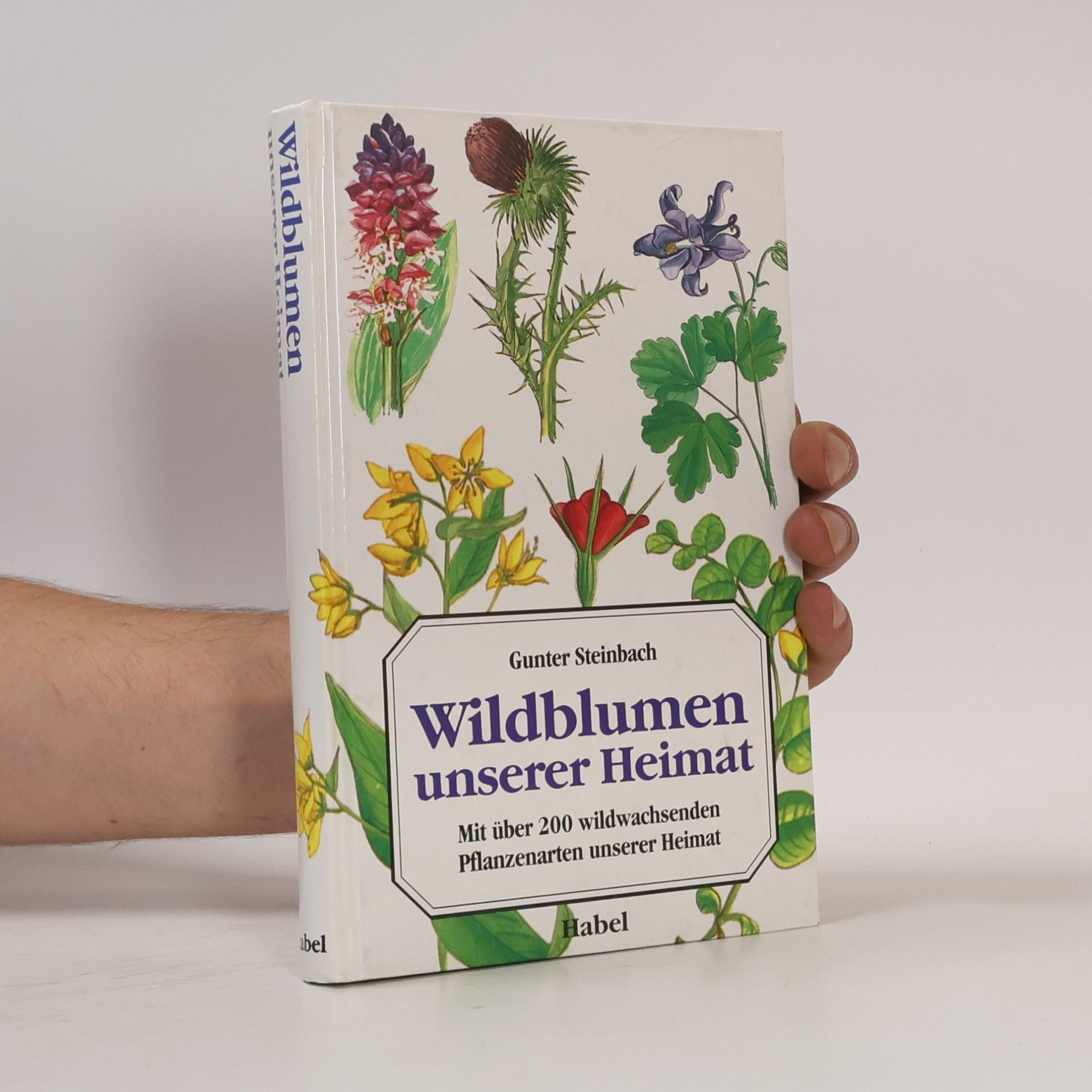 Gunter Steinbach Wildblumen unserer Heimat