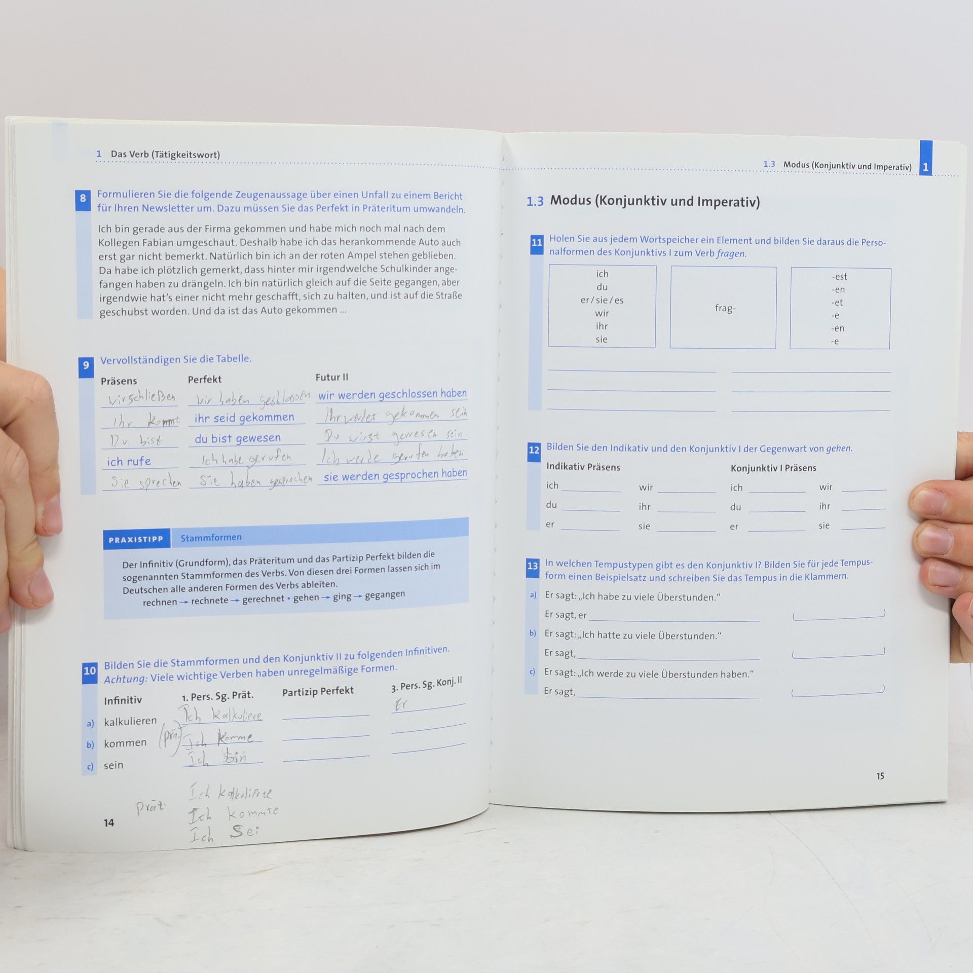 Anja Steinhauer Duden, Crashkurs Grammatik