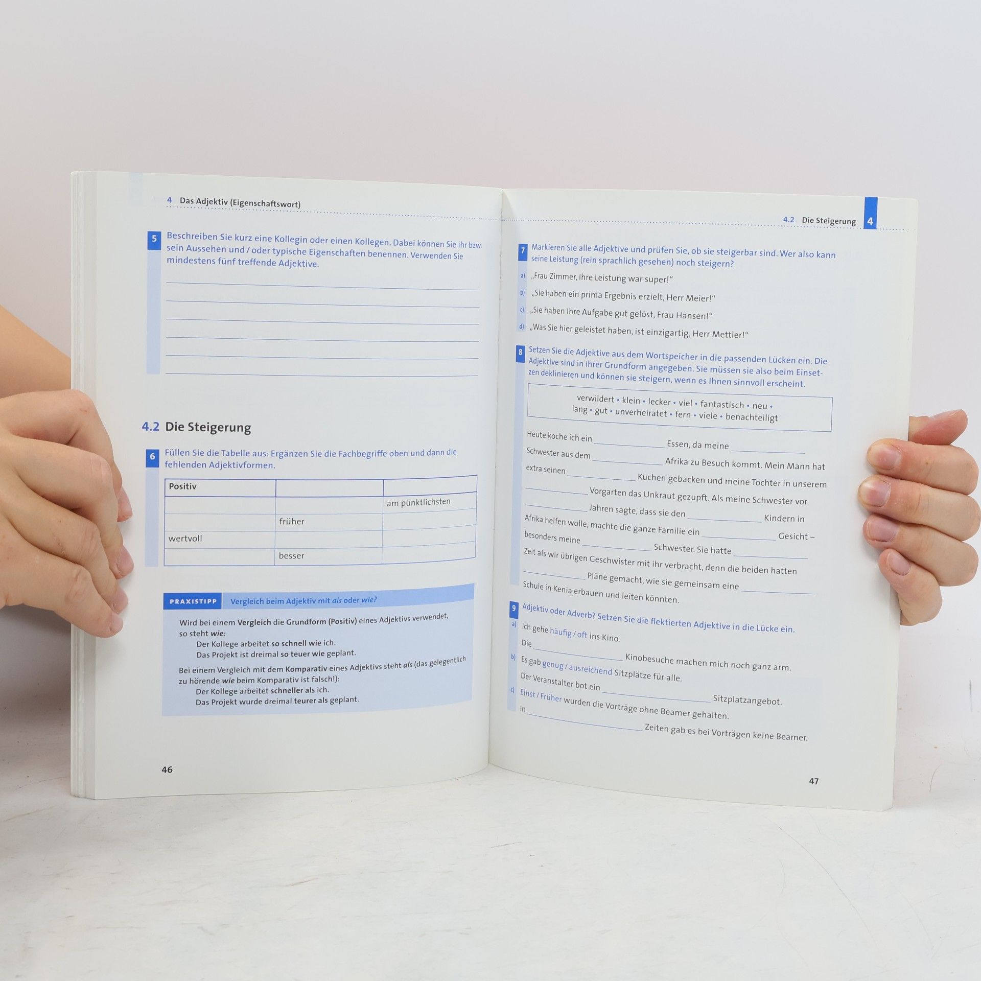 Anja Steinhauer Duden, Crashkurs Grammatik