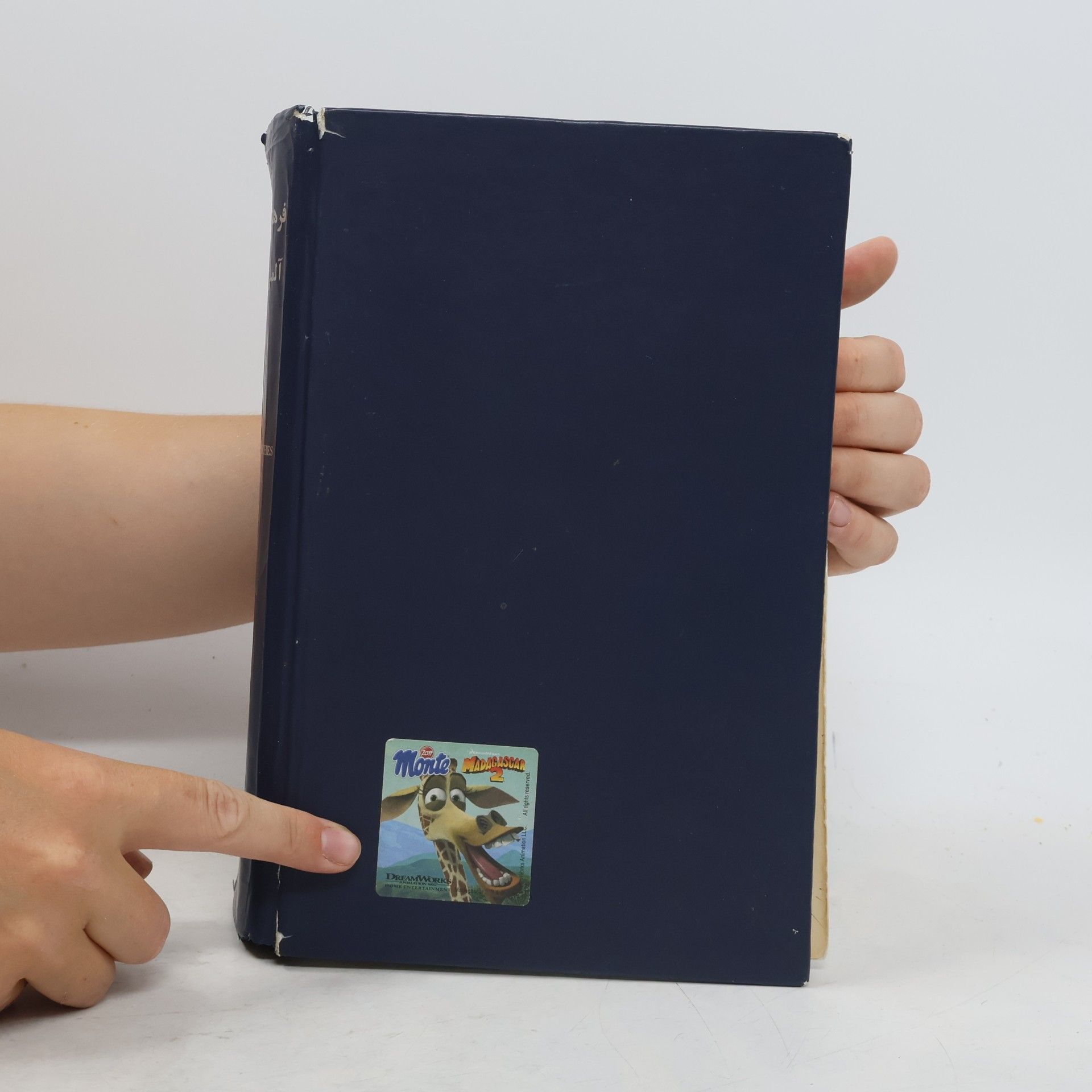 Amir Aschraf Aryanpour Deutsch-Persisches Wörterbuch