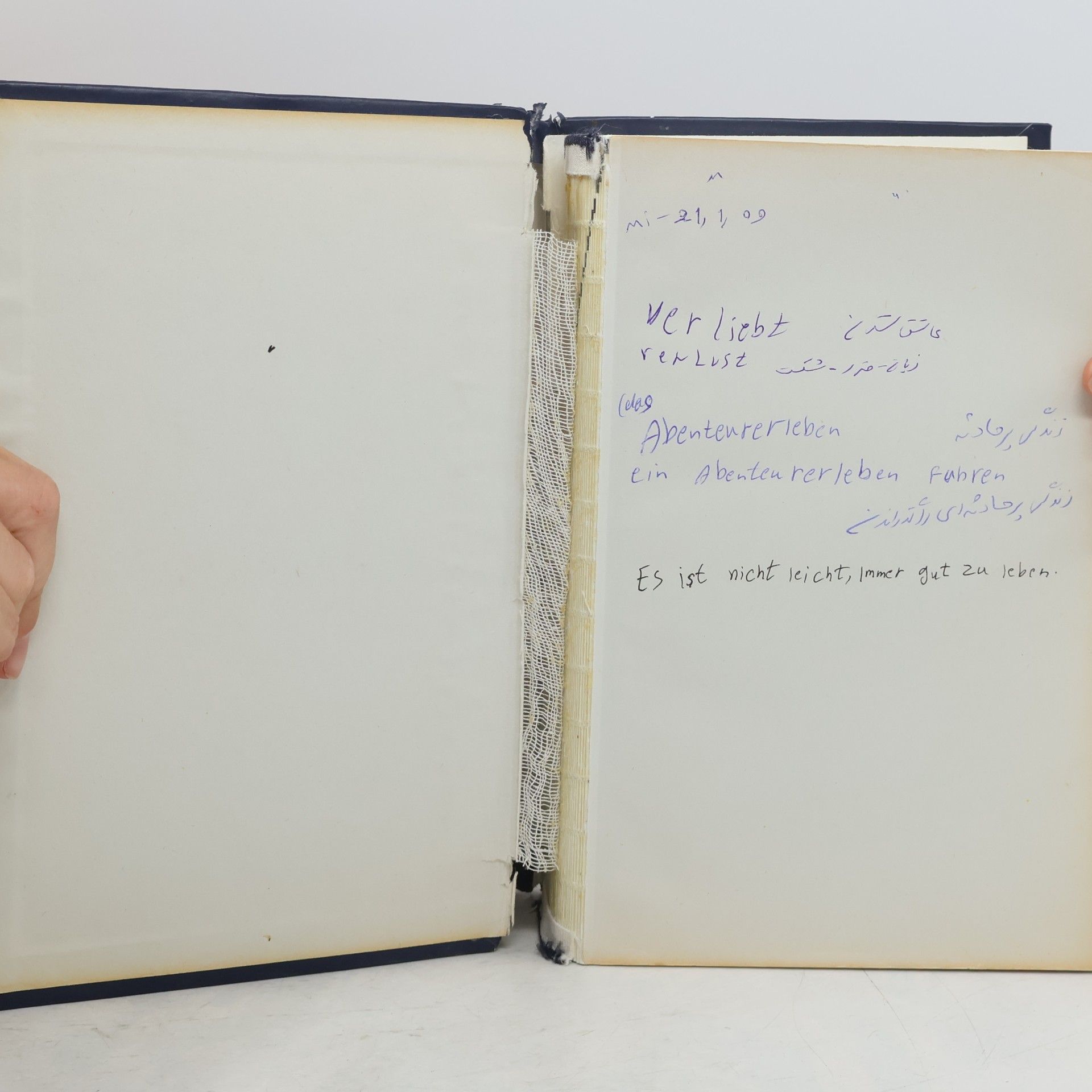 Amir Aschraf Aryanpour Deutsch-Persisches Wörterbuch
