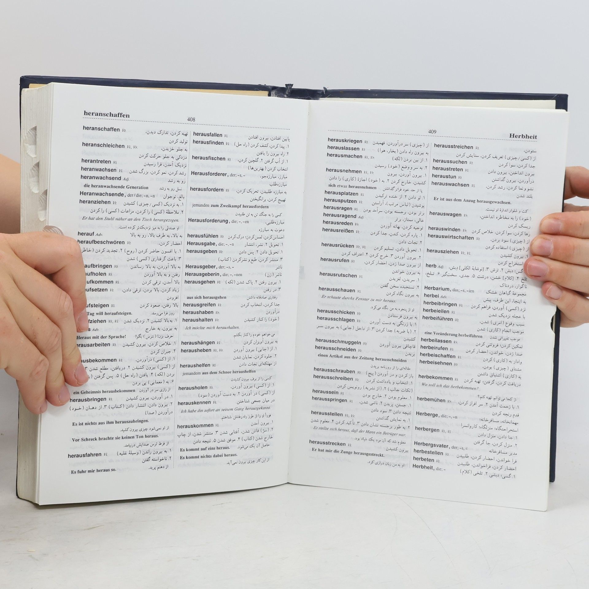 Amir Aschraf Aryanpour Deutsch-Persisches Wörterbuch