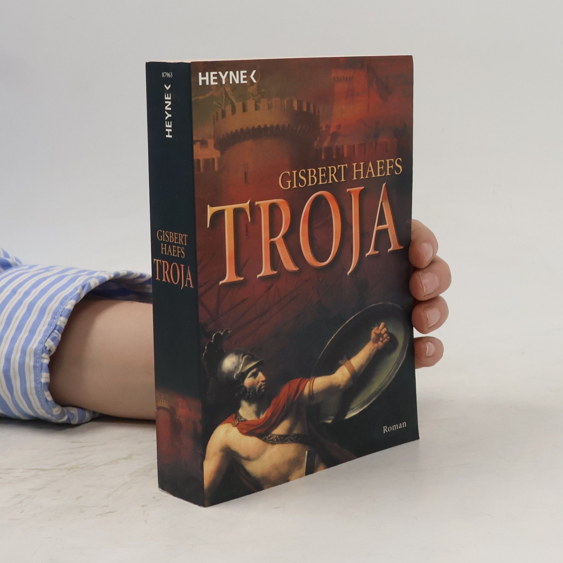 Gisbert Haefs Troja