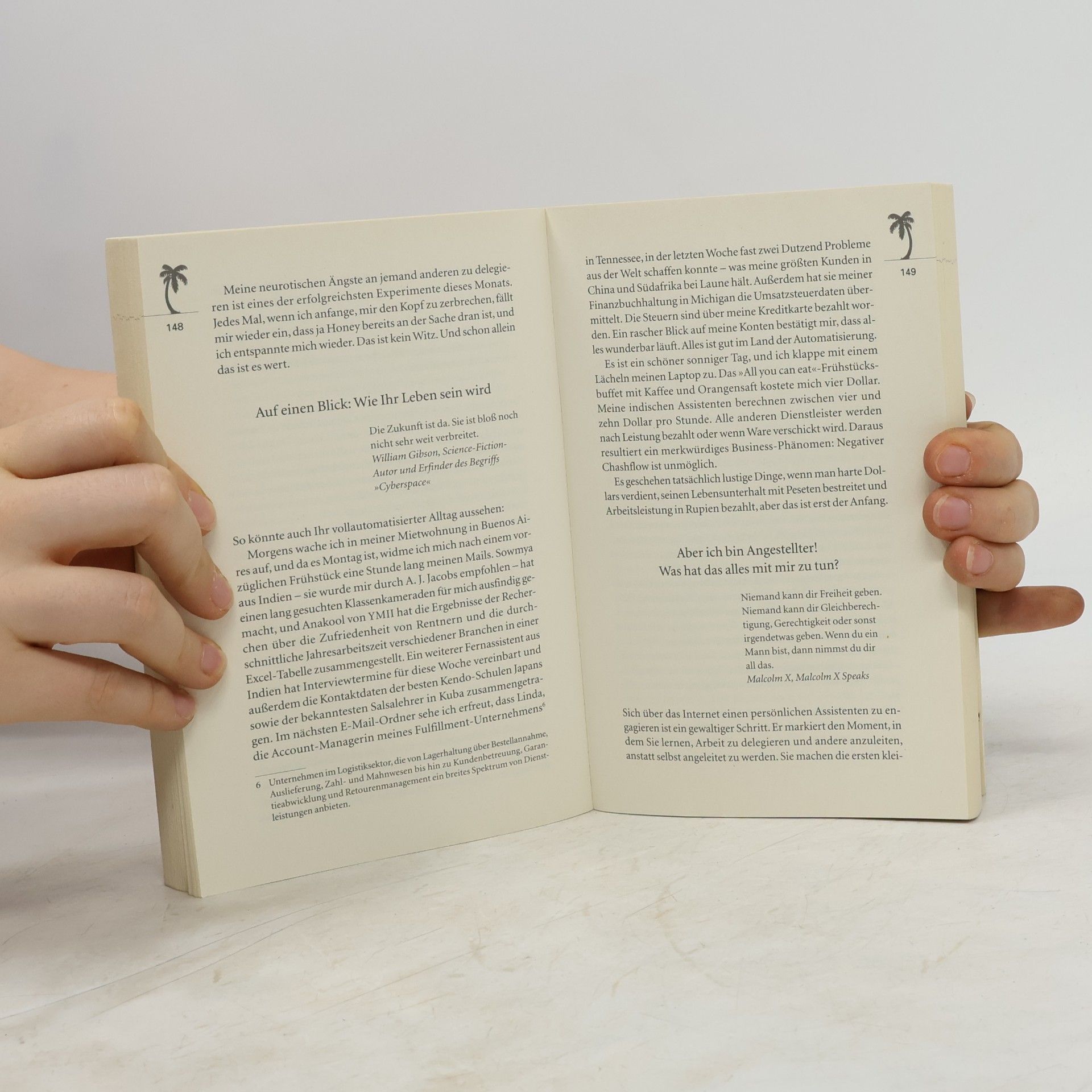 Timothy Ferriss Die 4-Stunden-Woche