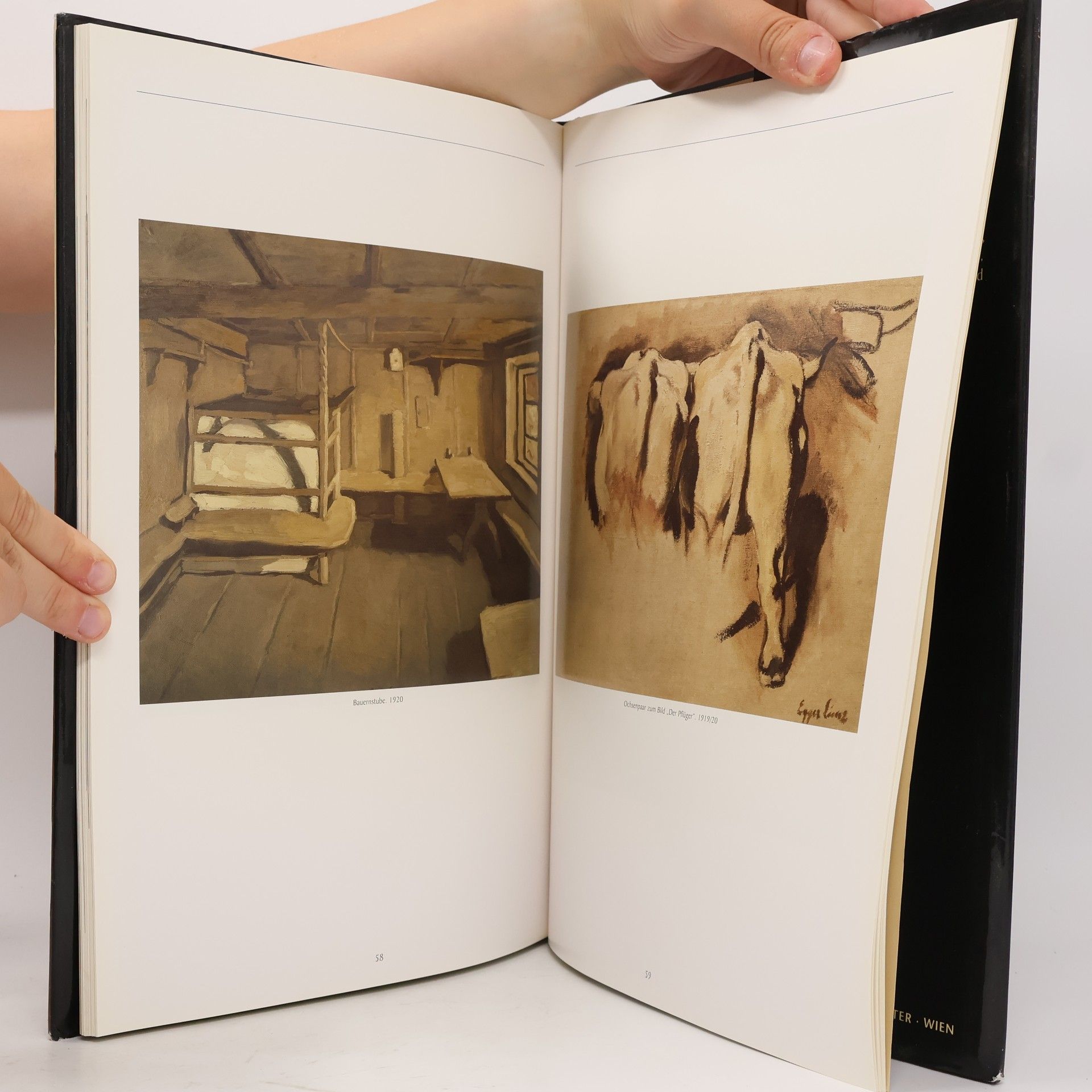 Maria Rennhofer Albin egger Lienz leben und werk 1968-1926, kunstkalender 2001