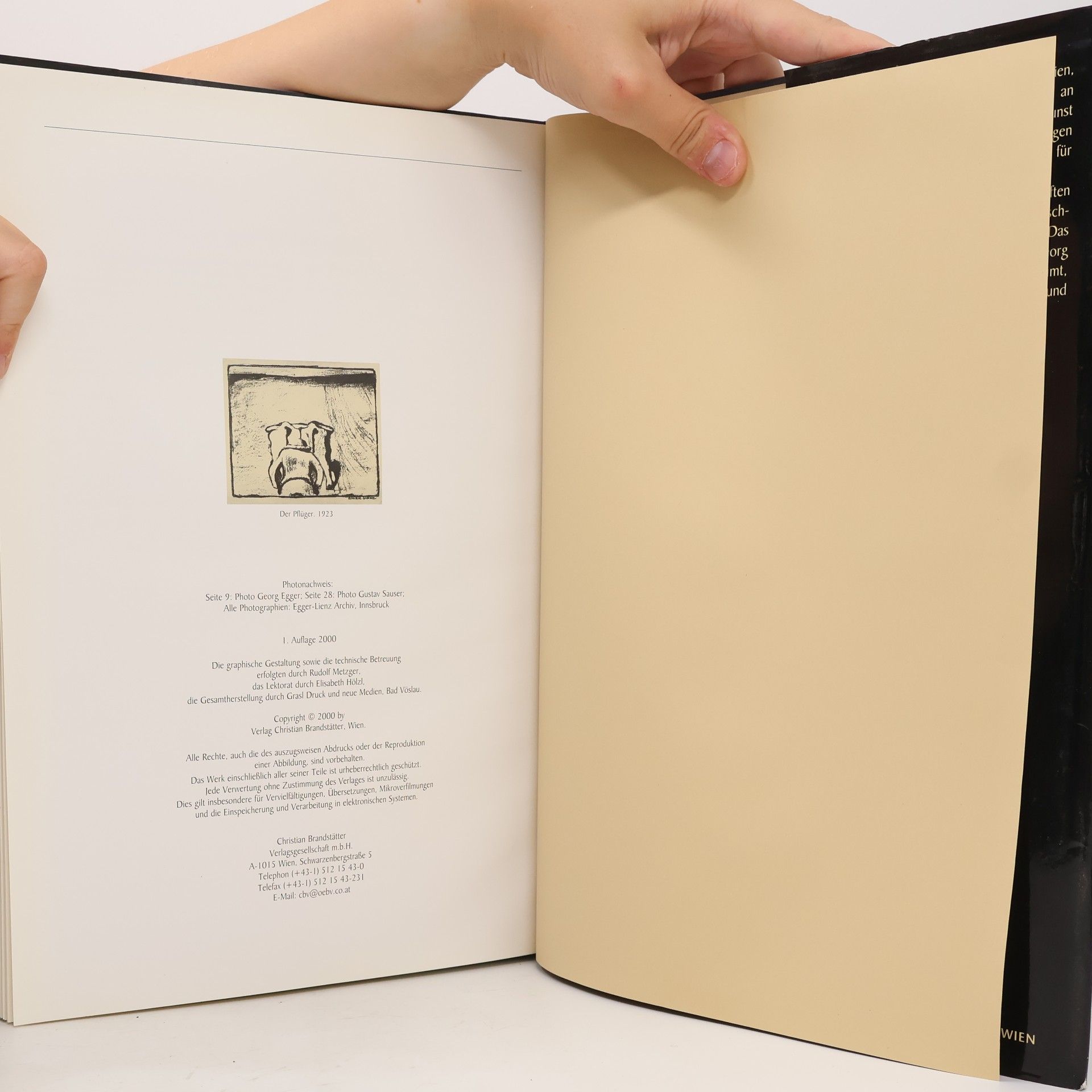 Maria Rennhofer Albin egger Lienz leben und werk 1968-1926, kunstkalender 2001