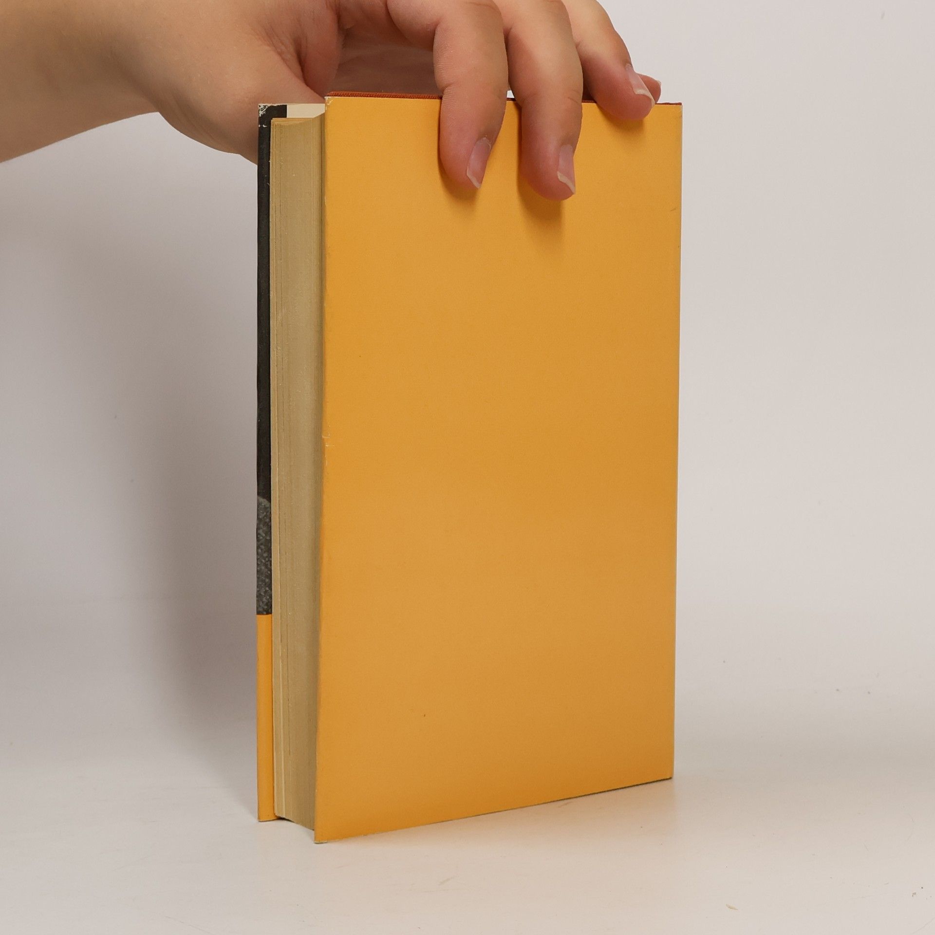 Various authors Wolf: Ein Lesebuch für unsere Zeit