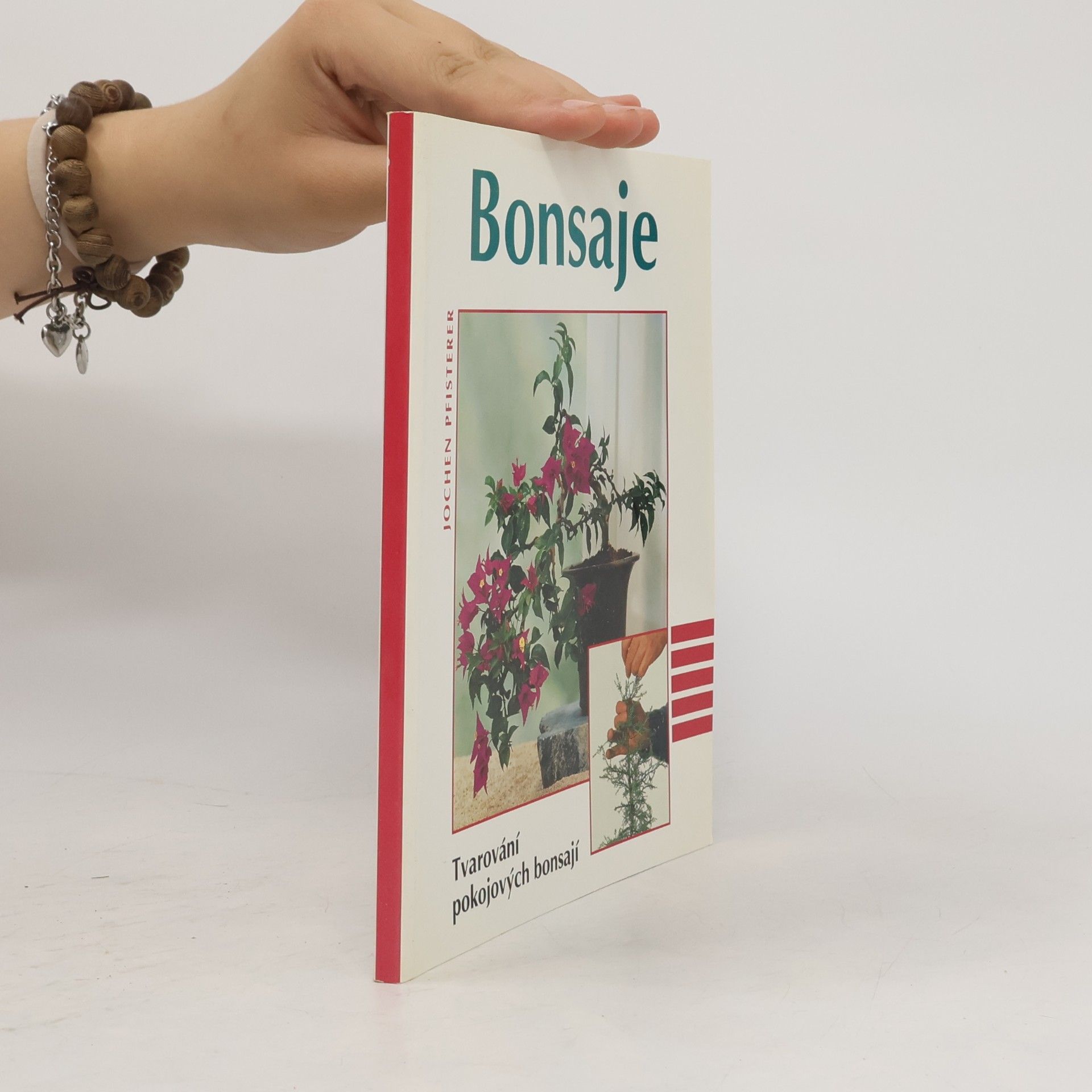 Jochen Pfisterer Bonsaje. Tvarování pokojových bonsají