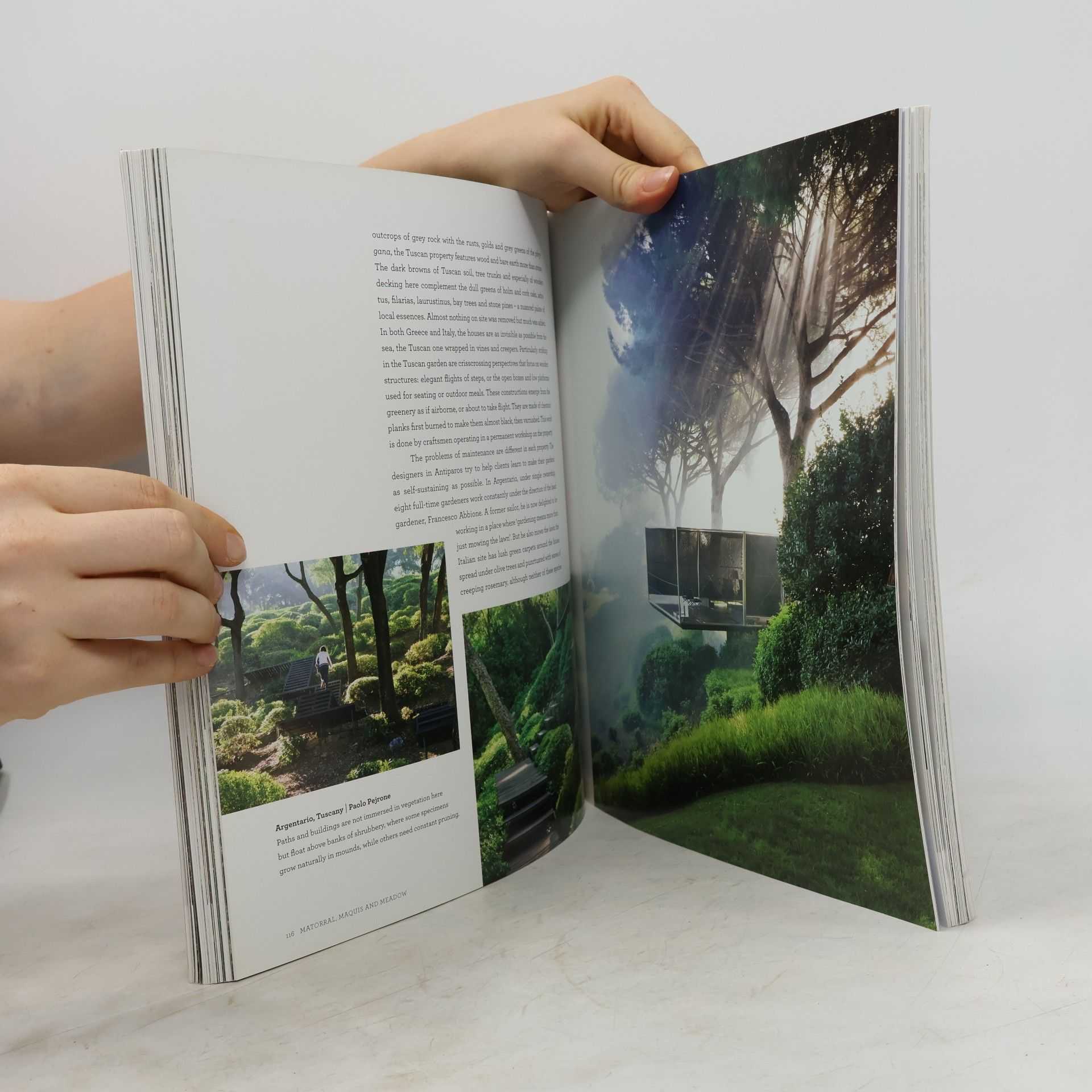 Louisa Jones Mediterranean Landscape Design