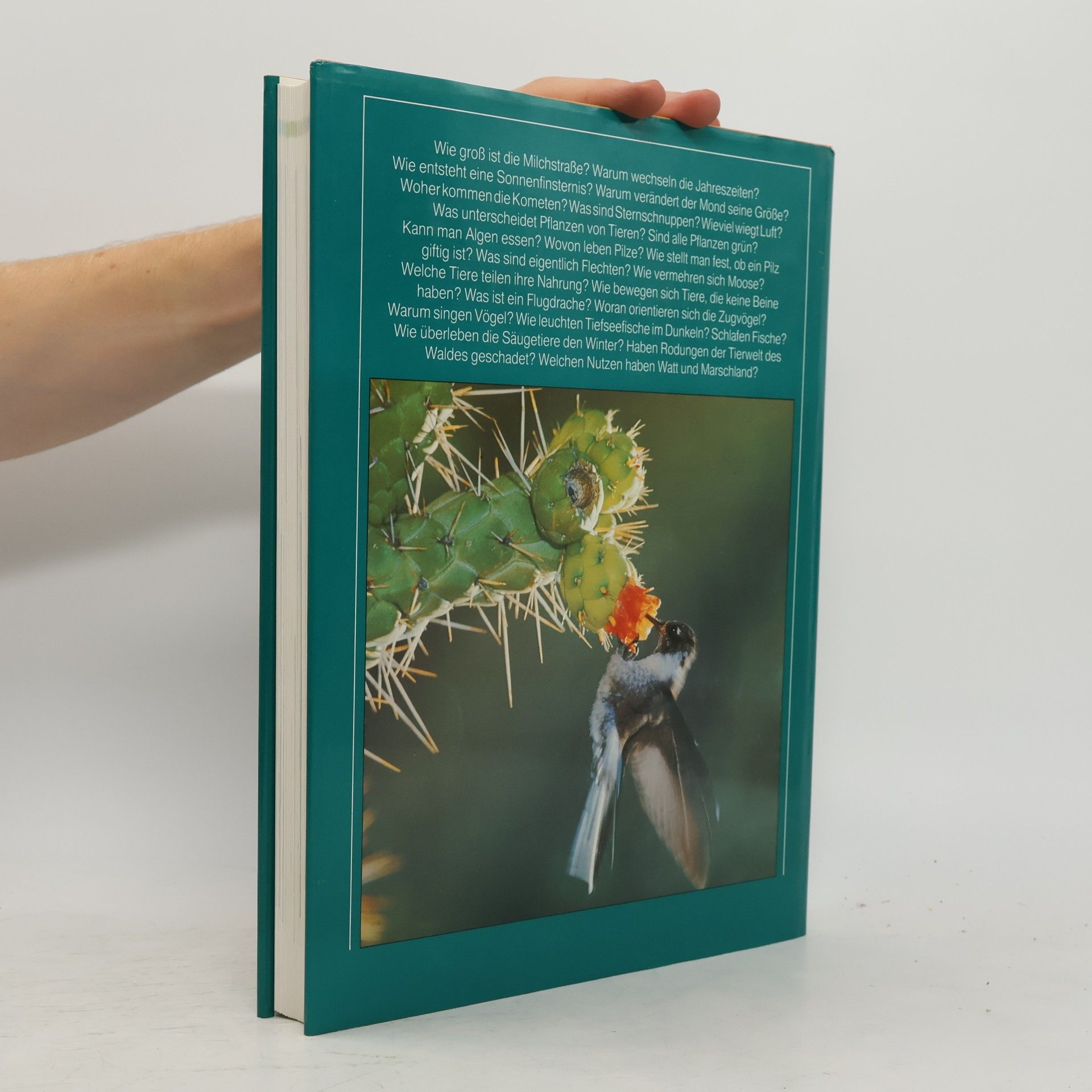 Collectif d'auteurs 1000 Fragen an die Natur