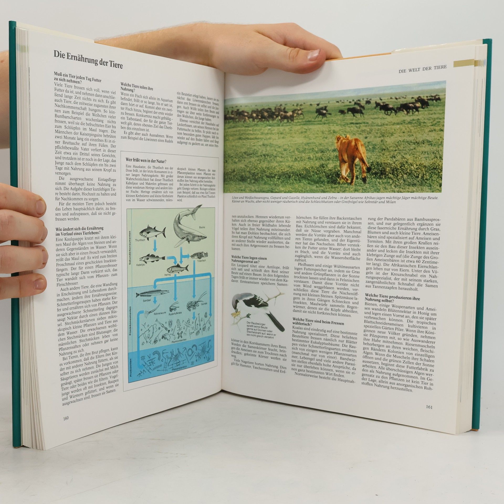 Collectif d'auteurs 1000 Fragen an die Natur