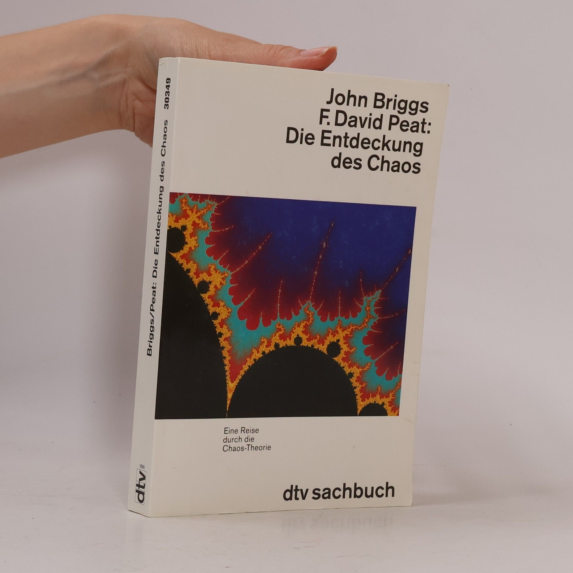 John P. Briggs Die Entdeckung des Chaos