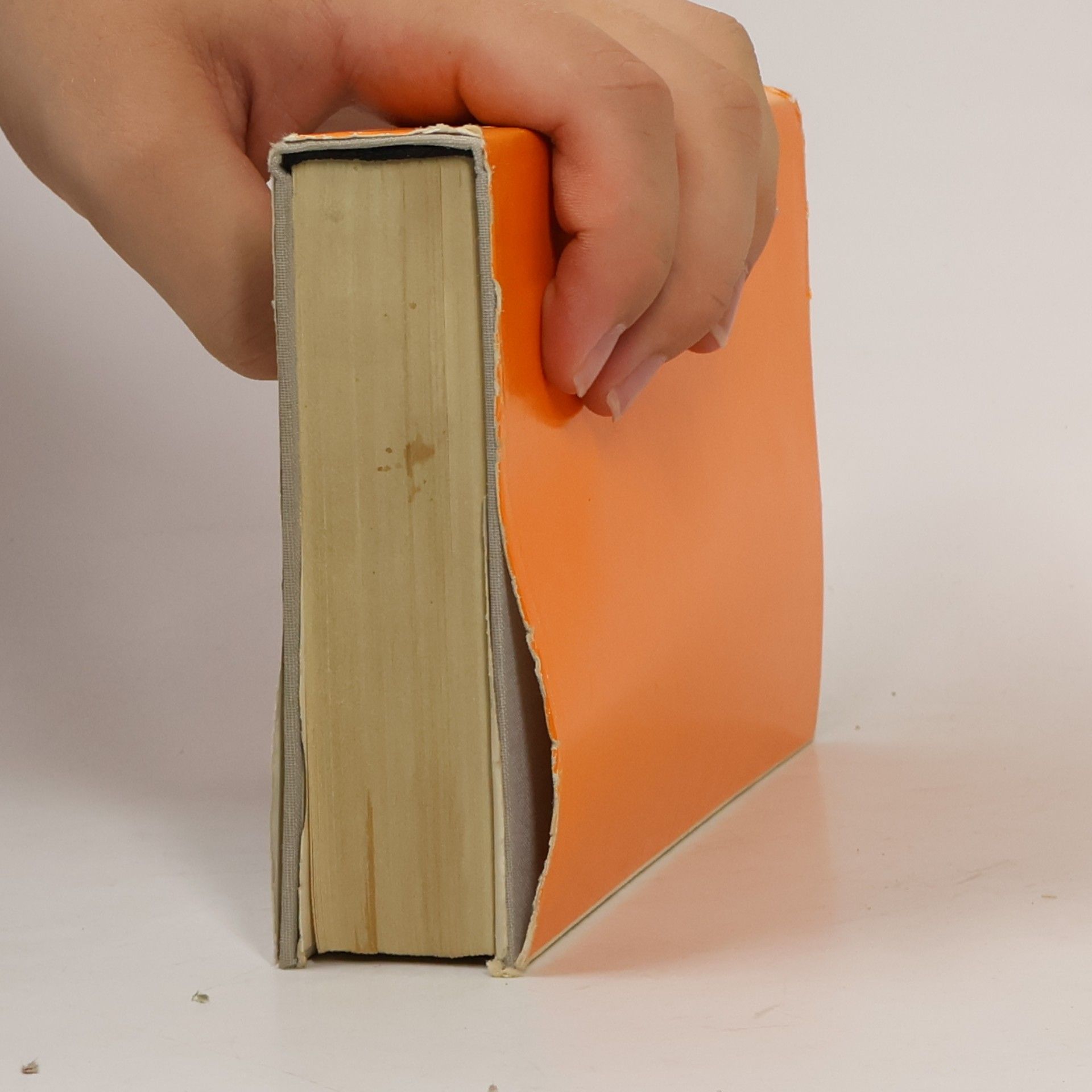 William Shakespeare Shakespeare. Ein Lesebuch für unsere Zeit